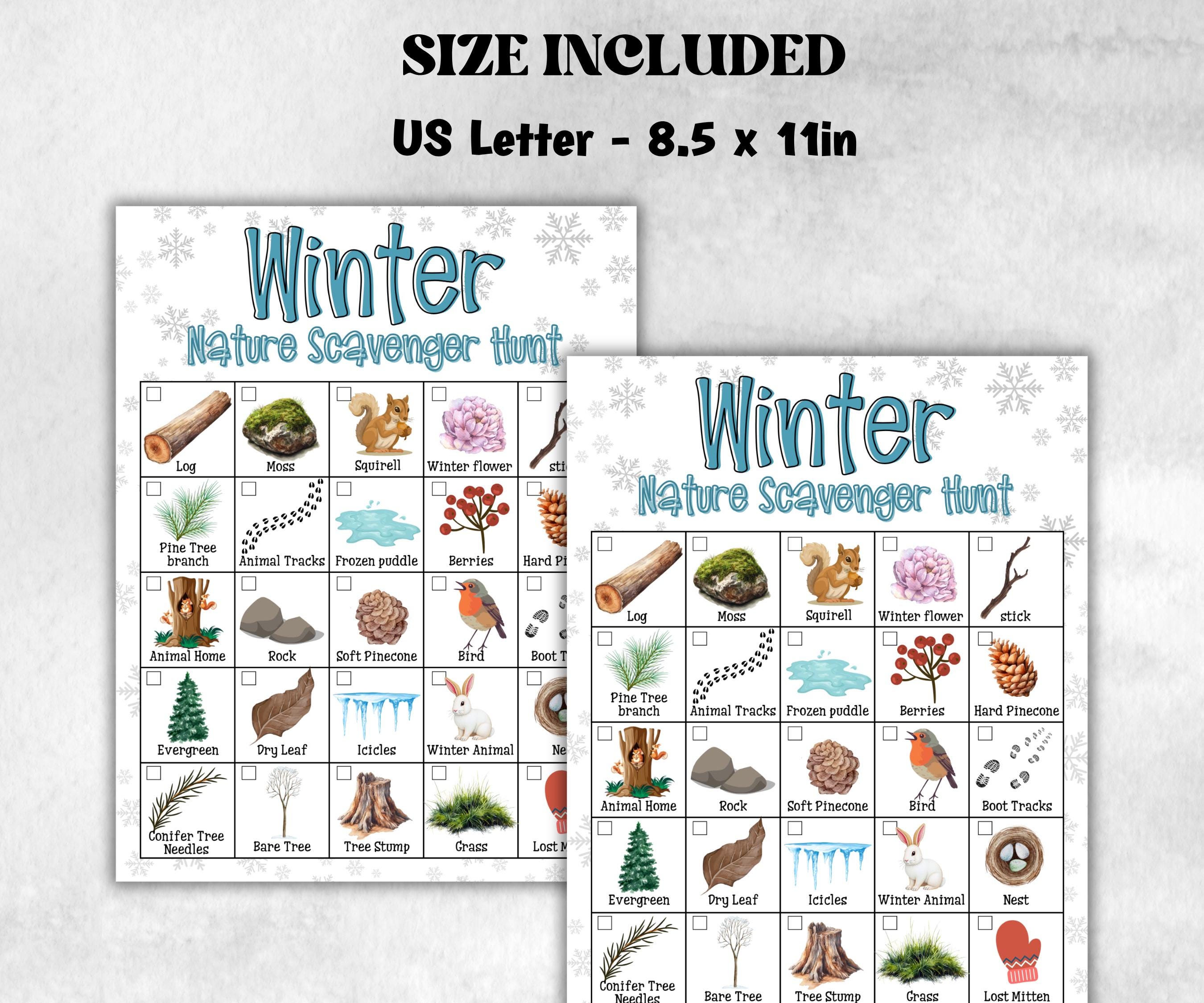 Winter Nature Scavenger Outdoor Activity, Printable Outdoor activity, Scavenger Hunt, Winter Treasure Hunt, Winter Nature Walk Nature Study-Christmas -TheHustlingCatLady-Party Games