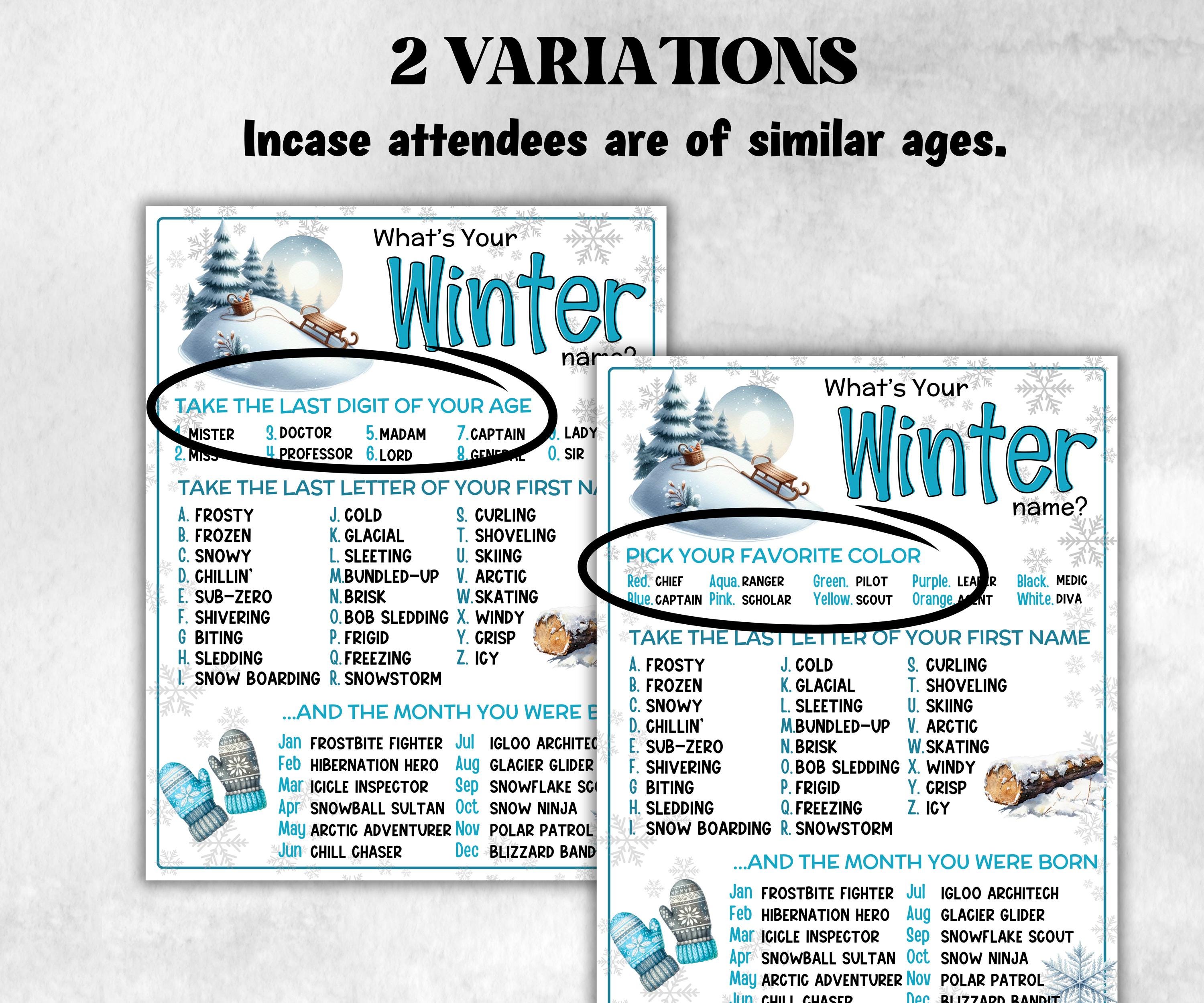 What is your Winter name game, office party, daycare Name board sign, party decoration, Name tag, birthday nickname, Winter fun Indoor games-Holidays -TheHustlingCatLady-Party Games