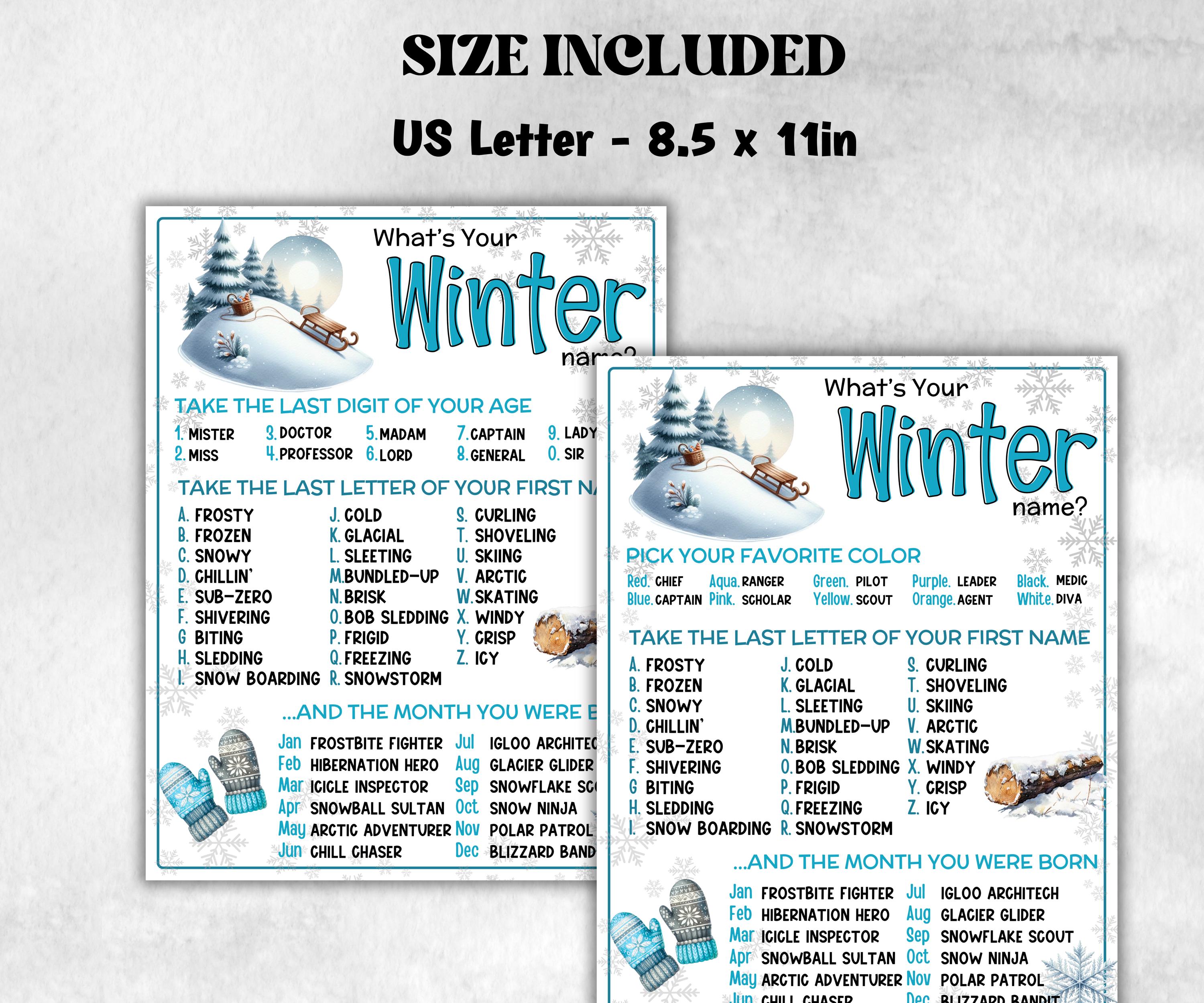 What is your Winter name game, office party, daycare Name board sign, party decoration, Name tag, birthday nickname, Winter fun Indoor games-Holidays -TheHustlingCatLady-Party Games