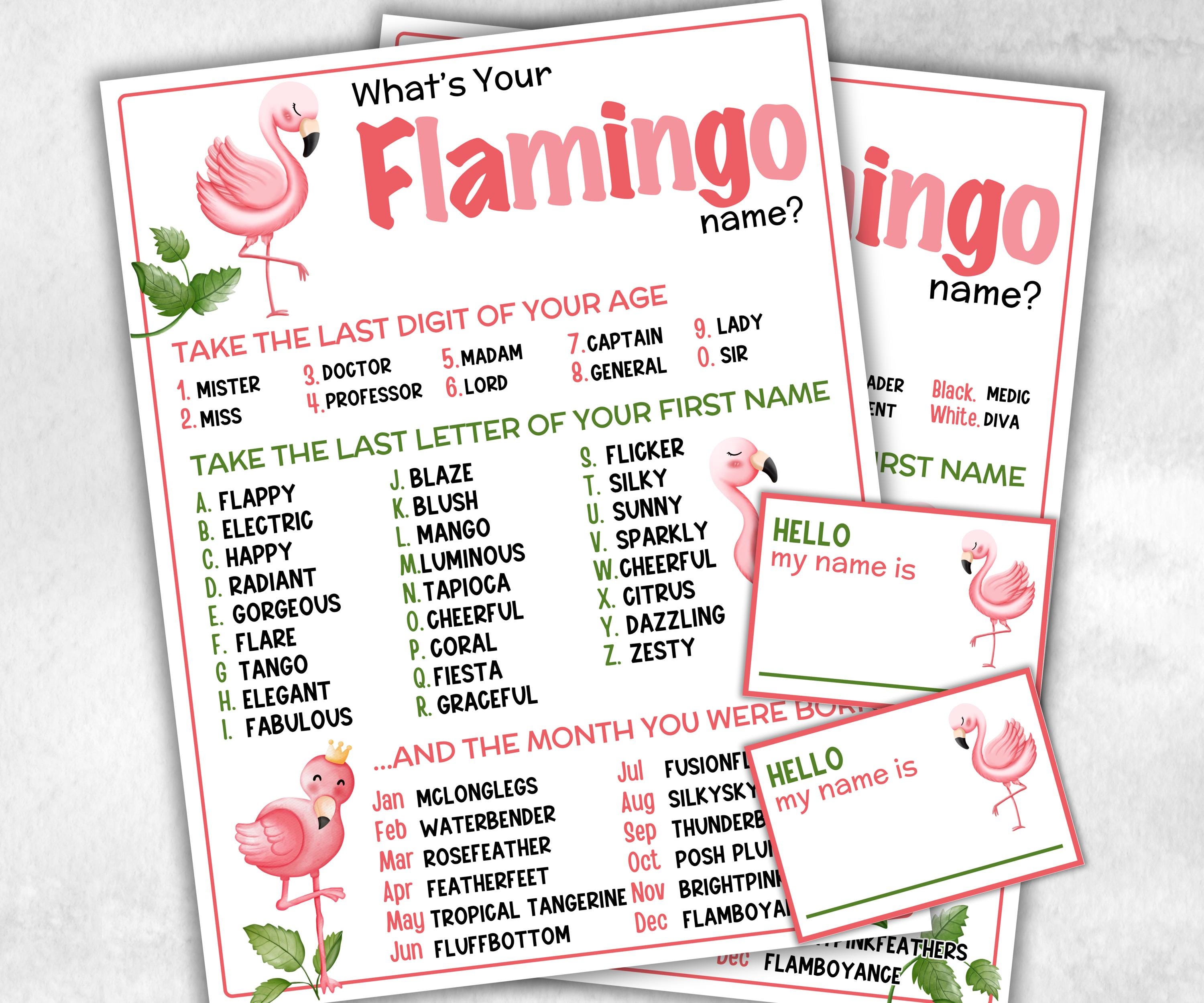 What is your Flamingo name printable game, office party, daycare, Name board sign, party decoration, Name tag, birthday nickname, summer-Holidays -TheHustlingCatLady-Stickers, Labels & Tags