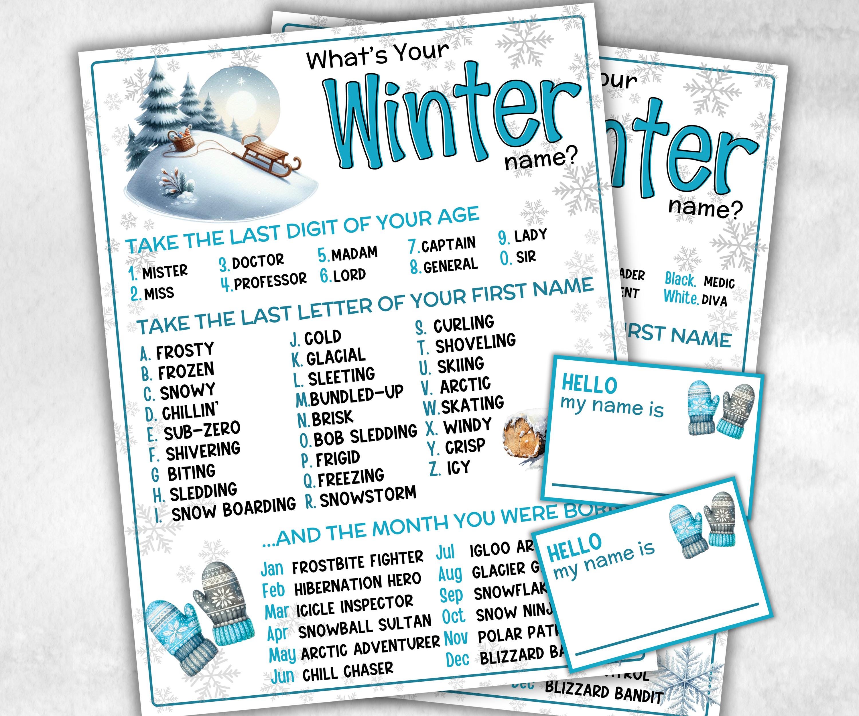 What is your Winter name game, office party, daycare Name board sign, party decoration, Name tag, birthday nickname, Winter fun Indoor games-Holidays -TheHustlingCatLady-Party Games