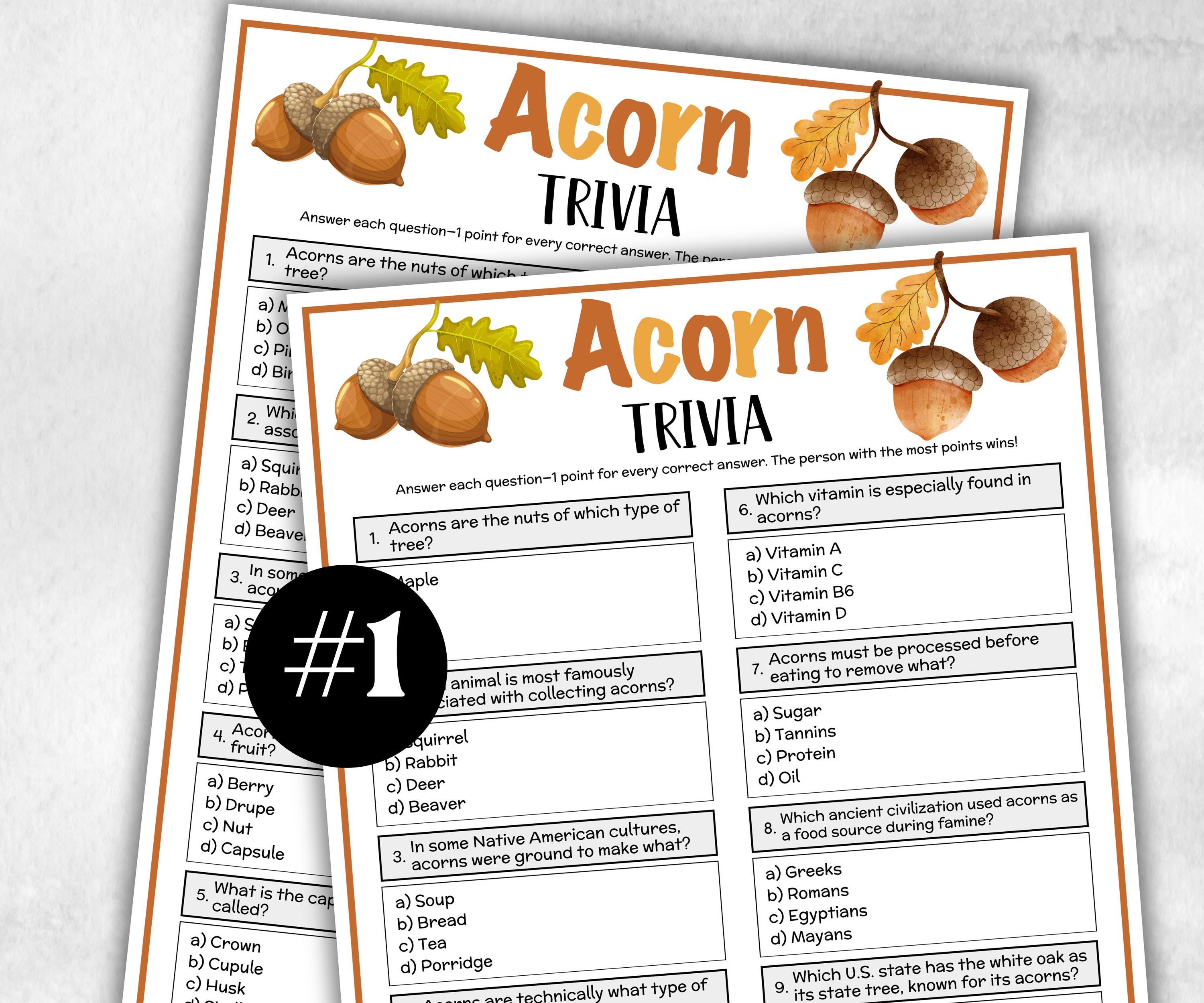 Acorn Trivia, Fall winter Theme birthday, Seniors Trivia Night, Sunday School, Women Ministry, xmas family reunion, National Acorn day, Nut-Holidays -TheHustlingCatLady-Party Games