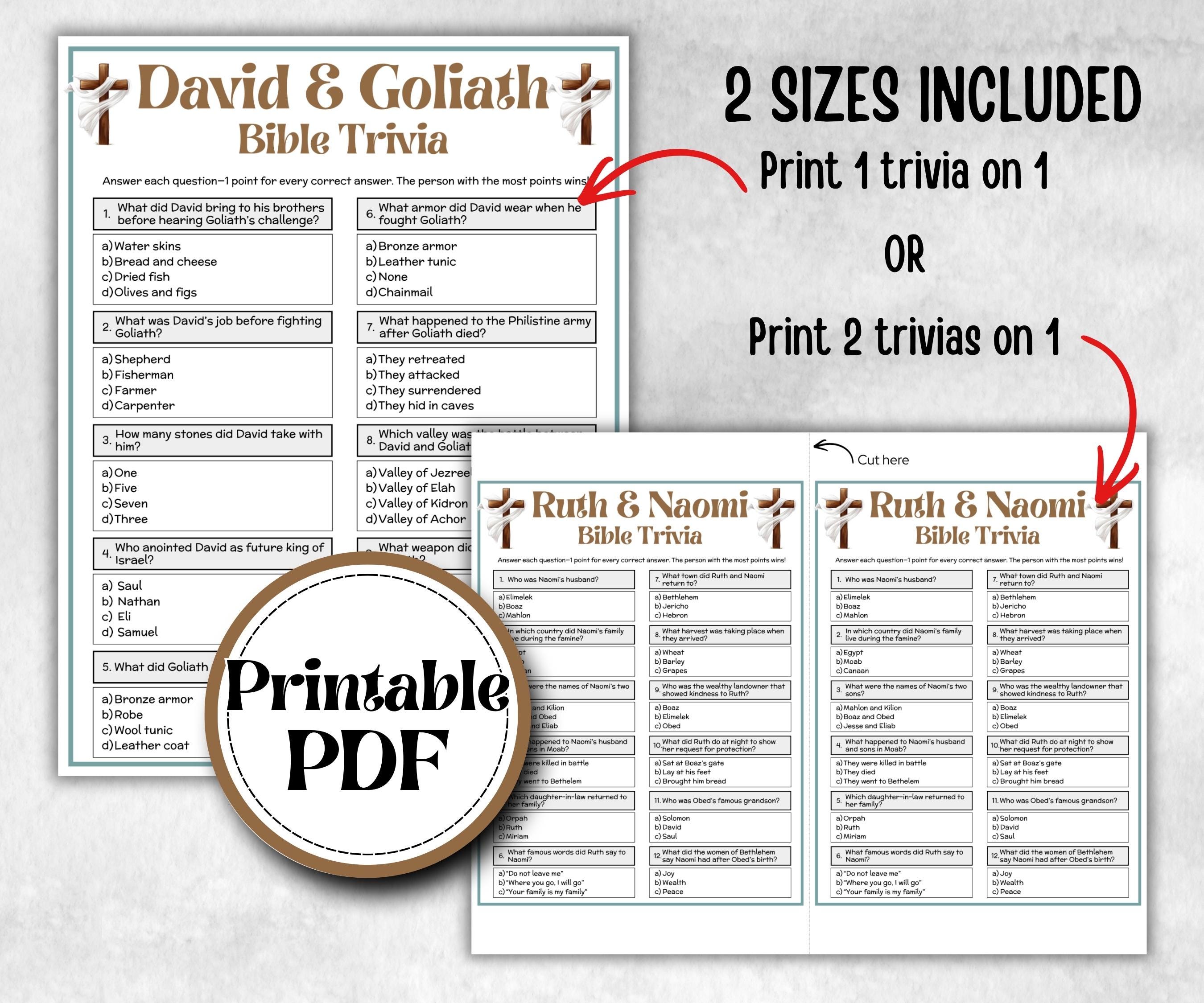 David and Goliath Trivia, Bible Camp, Bible Study riddles, Holiday Party Game, womens retreat group party, Old Testament Trivia, Youth Group