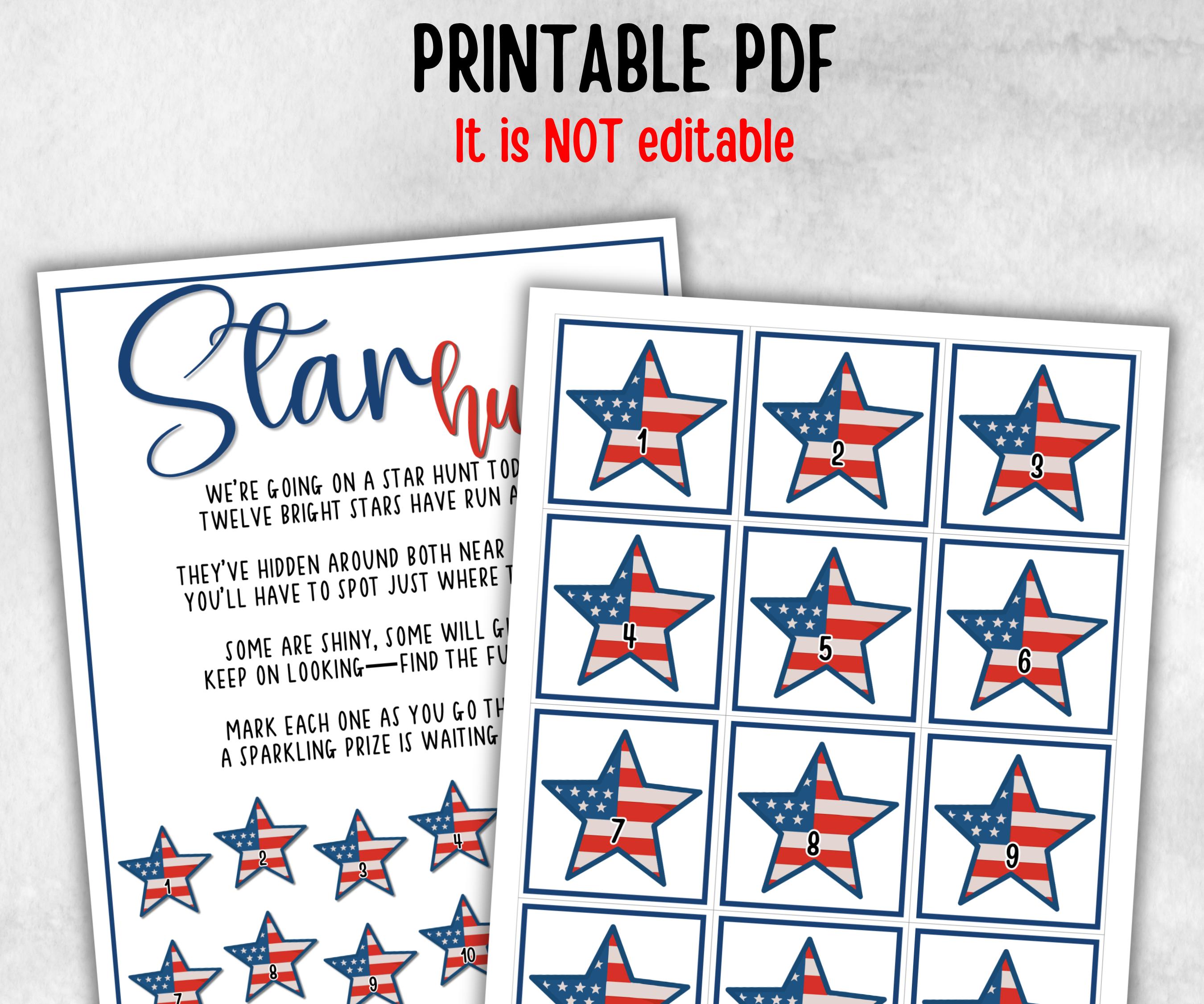 Independence Day Star Hunt for kids, Summer Barbeque reunion, backyard yard hunt, 4th of july, school patriotic game, Stars Stripes school