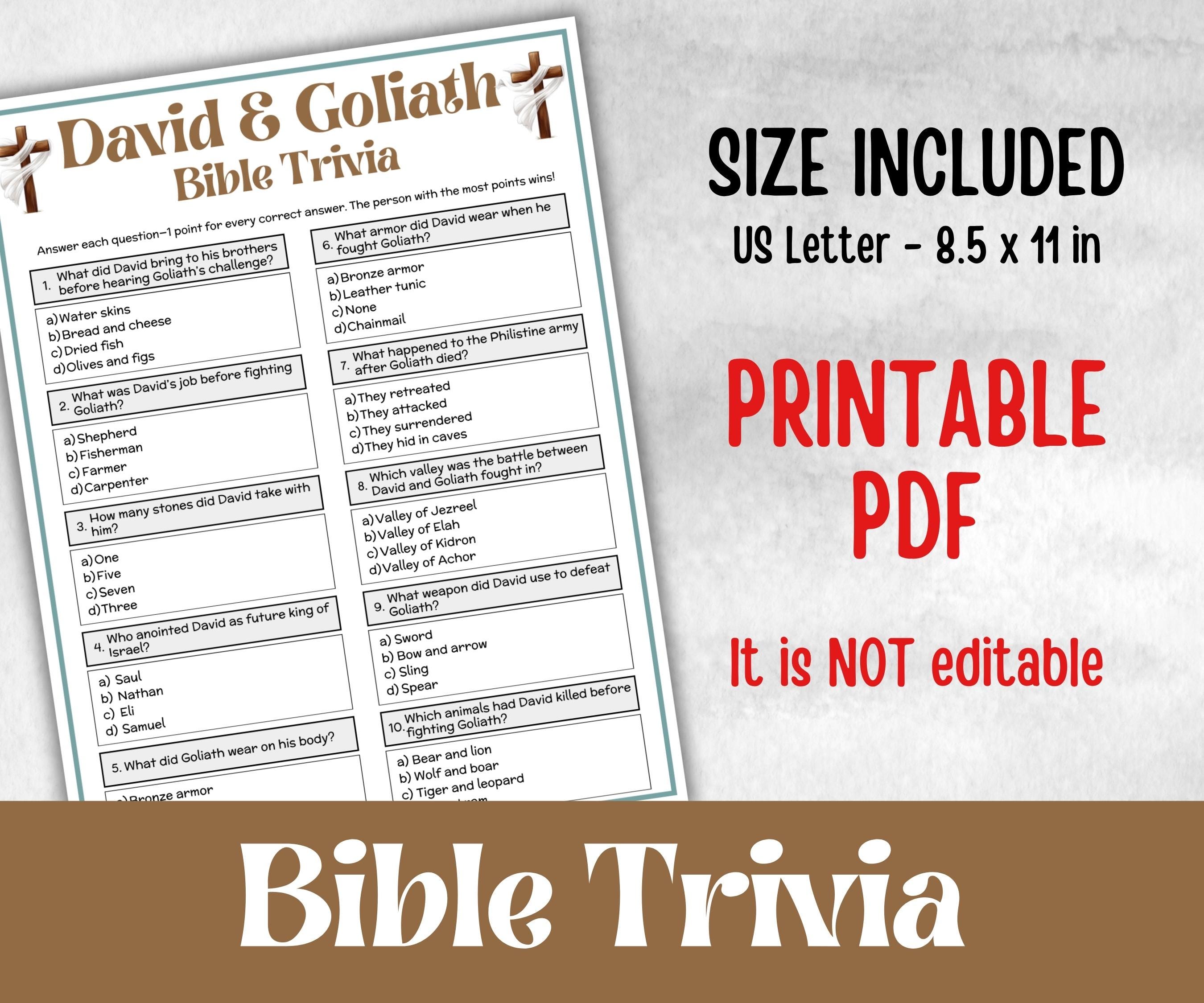 David and Goliath Trivia, Bible Camp, Bible Study riddles, Holiday Party Game, womens retreat group party, Old Testament Trivia, Youth Group