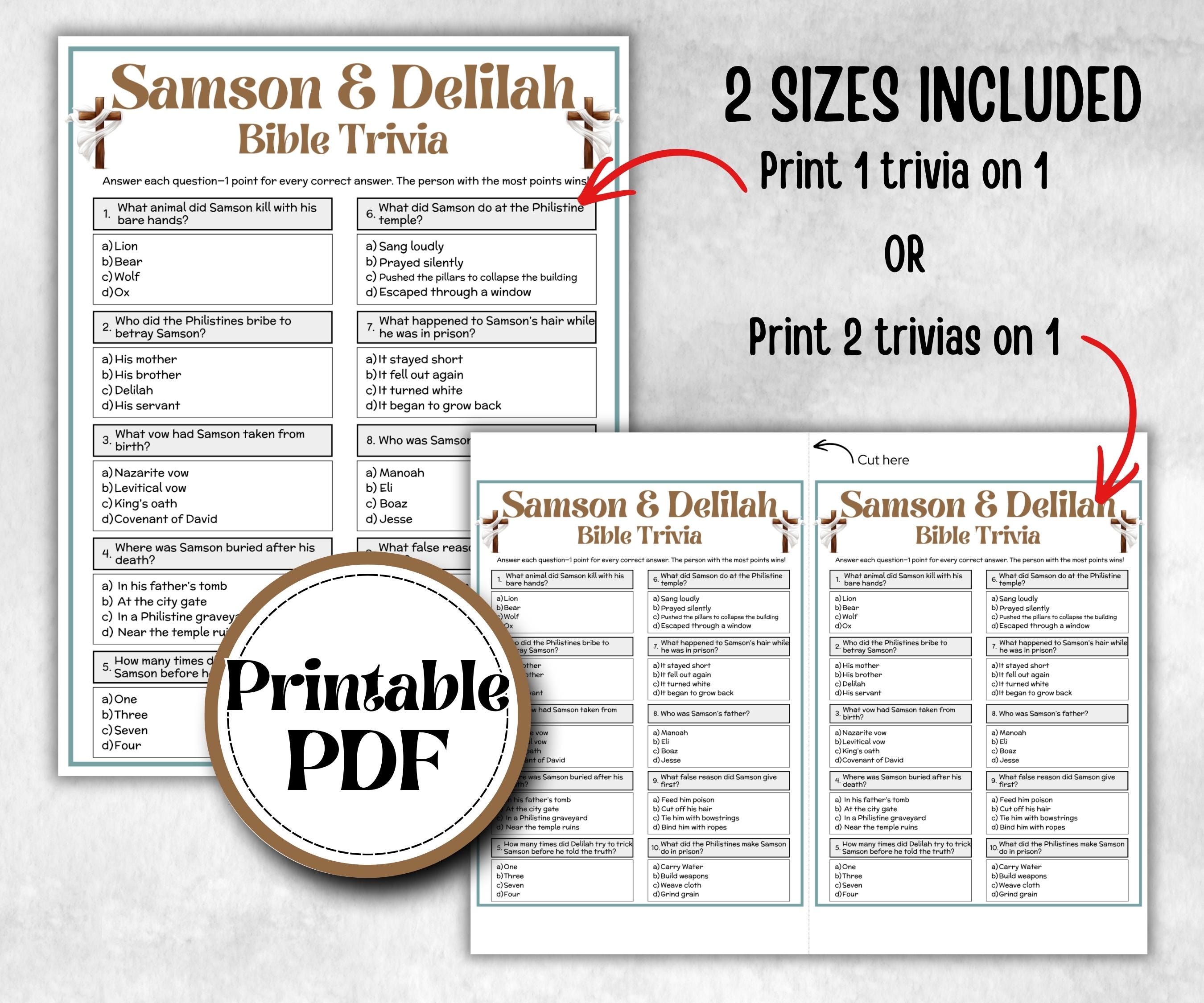 Samson and Delilah Trivia, Bible Study riddles, Old Testament Trivia, Church Lesson, Holiday Party Games, Bible Camp, womens retreat, Youth