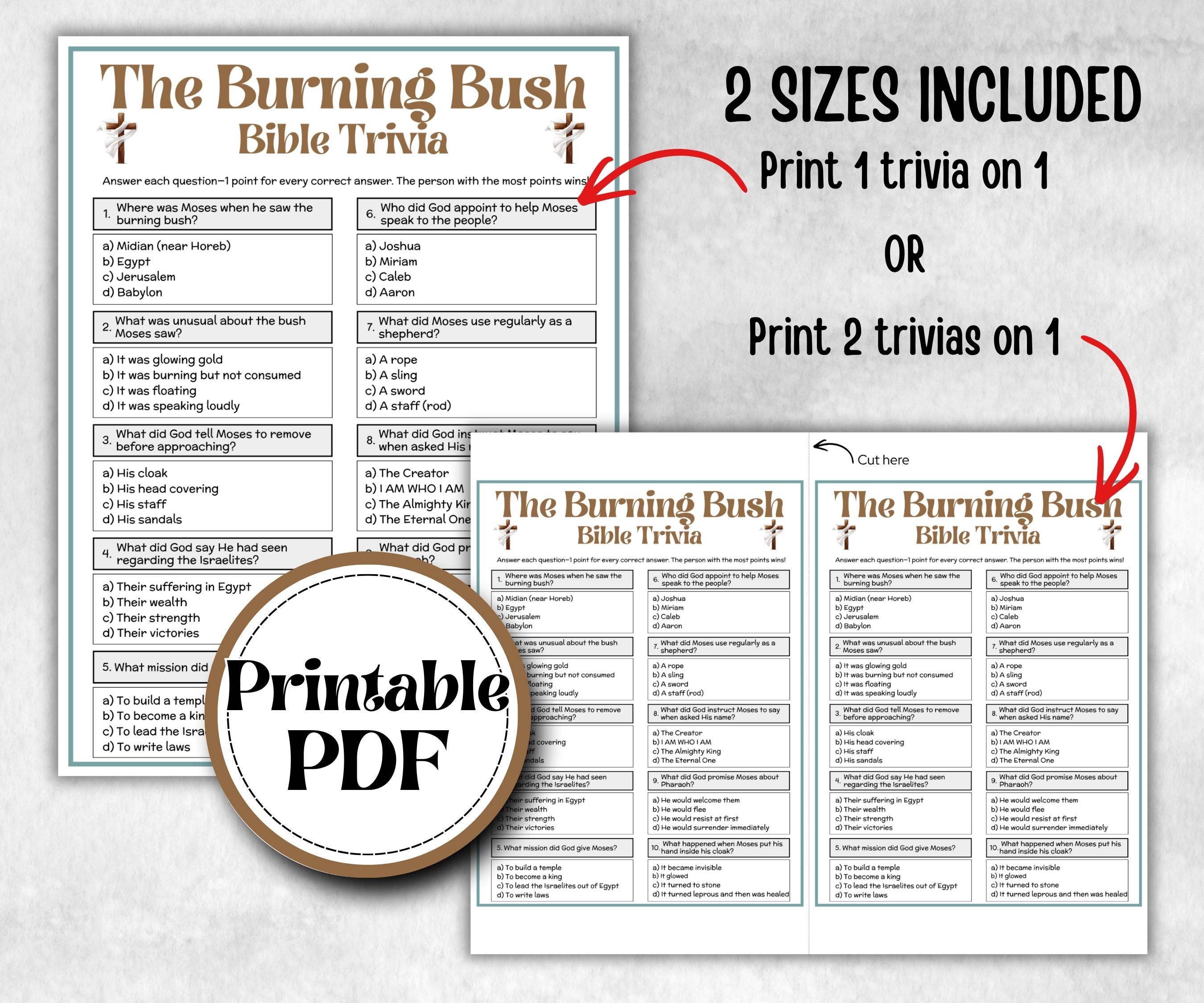 The Burning Bush - Bible Trivia
