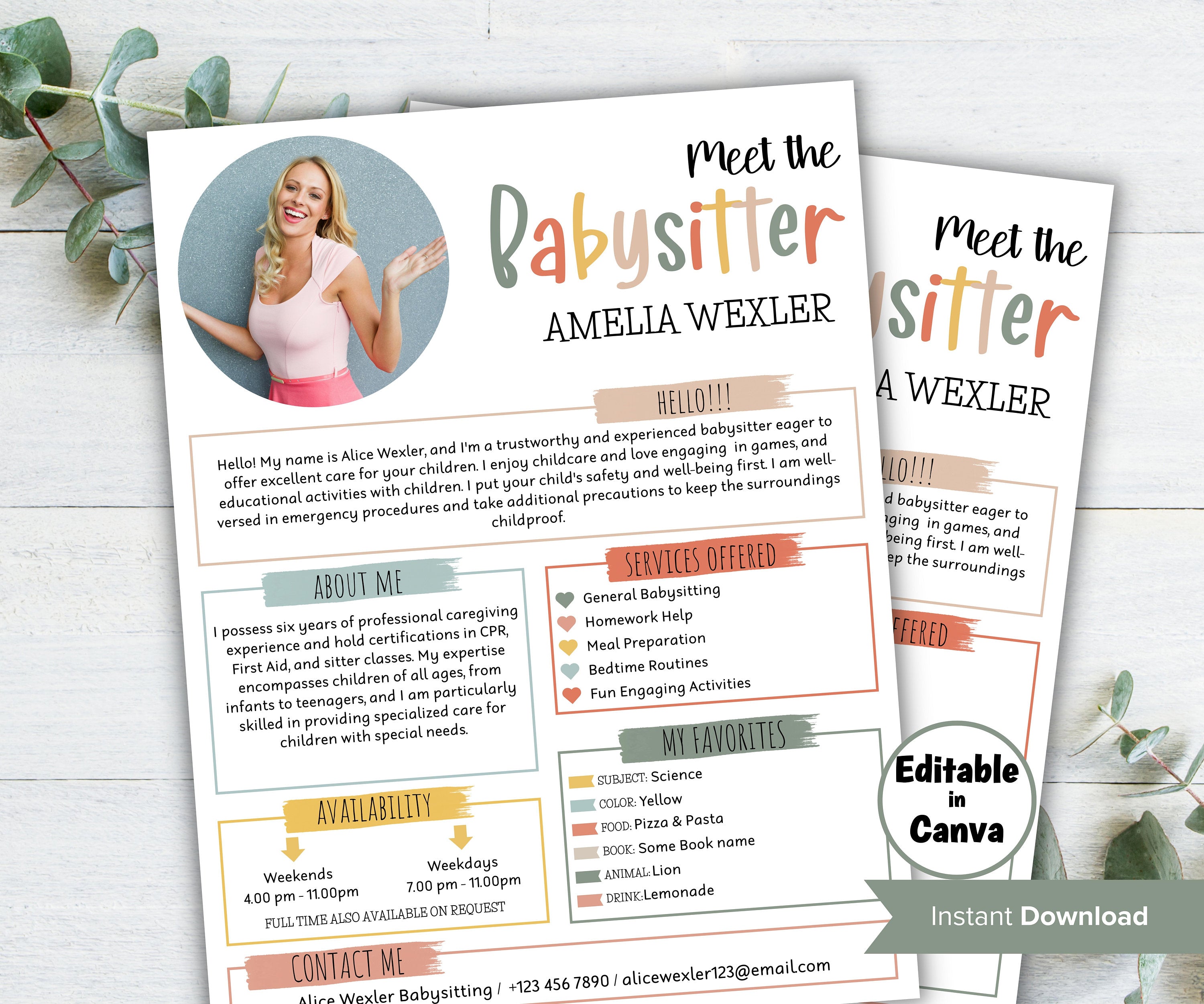 Childcare Services, Community Caretaker Printable Flyer, Editable Babysitter Flyer, Small Business template , Canva Flyer, babysitter resume