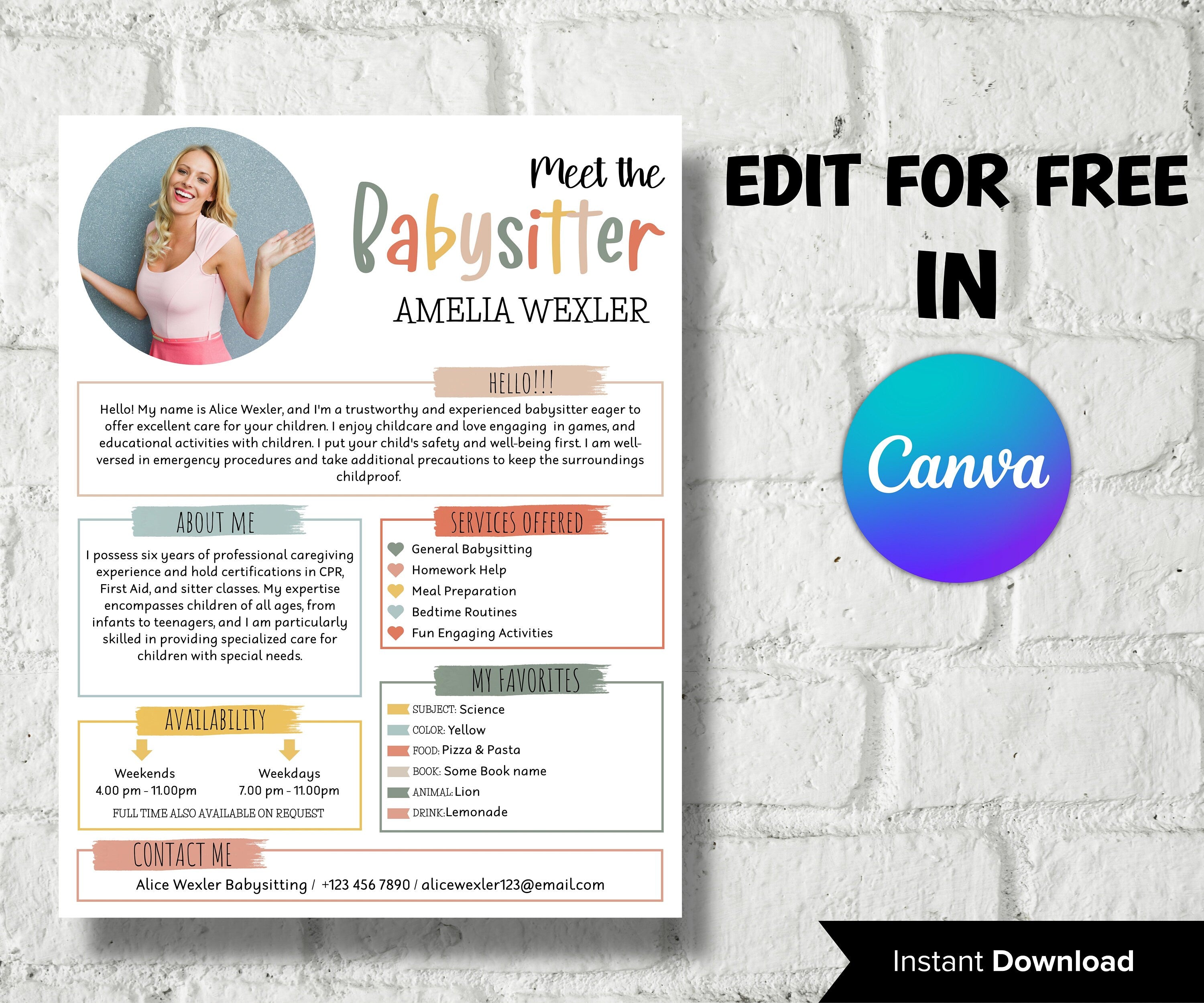 Childcare Services, Community Caretaker Printable Flyer, Editable Babysitter Flyer, Small Business template , Canva Flyer, babysitter resume