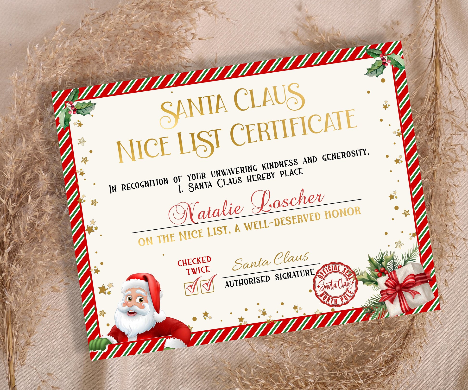 Nice List Certificate, Santa letter Package, Kids xmas activities, Official Nice List, Editable Santa List, Santa Claus Letter, Custom-Christmas -TheHustlingCatLady-Party Games