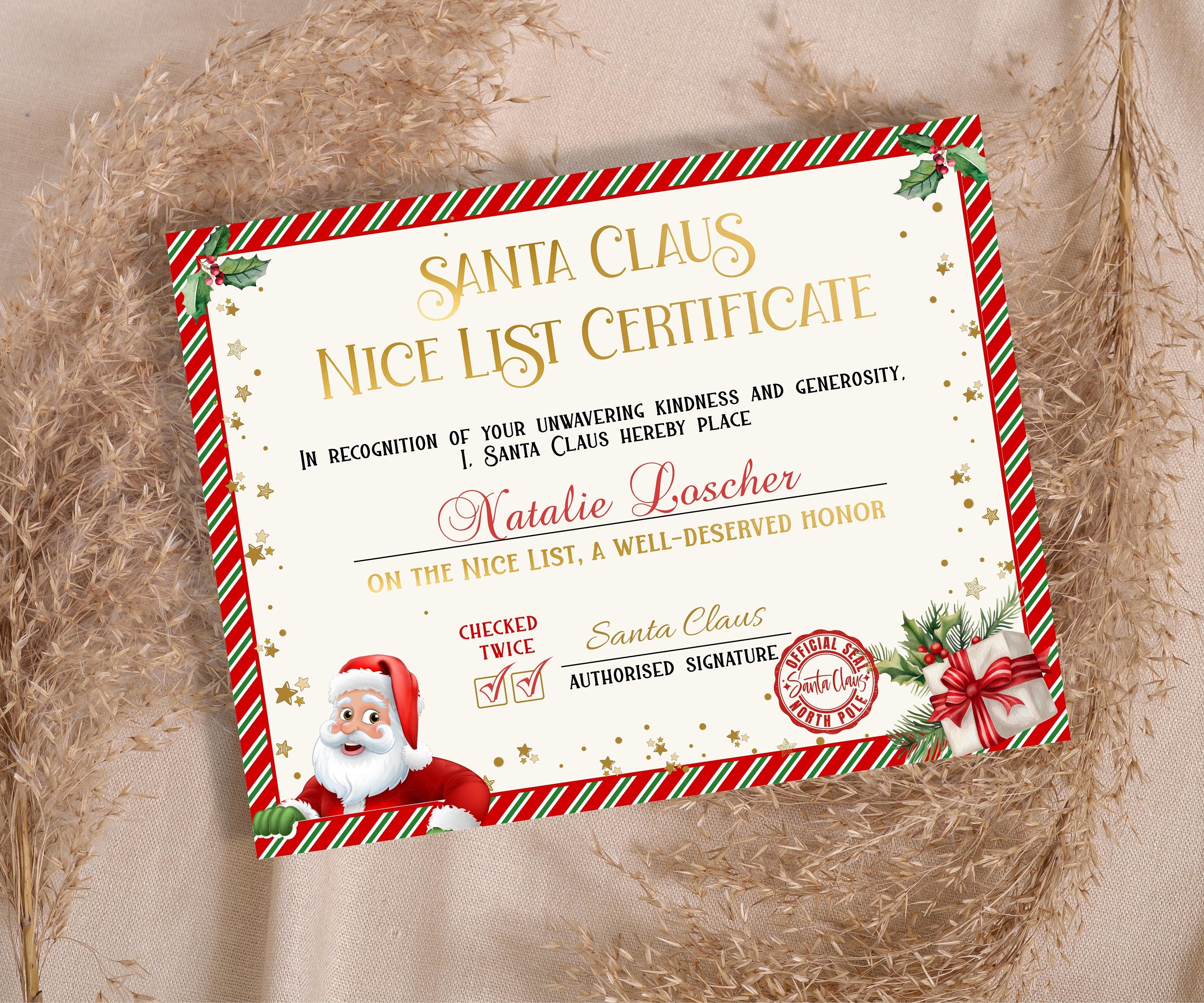 Santa Claus Letter, Editable Santa List, Official Nice List, Kids xmas activities, Santa letter Package, Holiday Printables, Santa Letter-Christmas -TheHustlingCatLady-Party Games