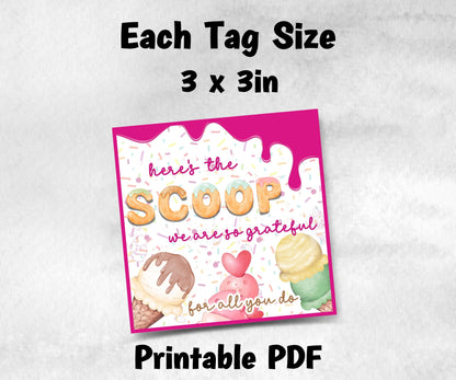 Ice cream Scoop Teacher Appreciation Treat Tag, End Of Year Snack Tag, Appreciation Treat Tag, Thank You scoop Tag, Volunteer Thank You tag-New Listings -TheHustlingCatLady-Planner Templates