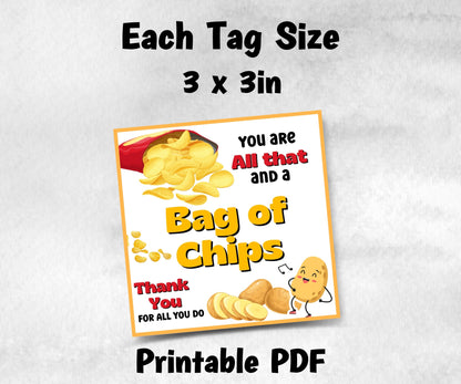 Bag of Chips Teacher Appreciation Treat Tag, End Of Year Snack Tag, Appreciation Treat Tag, Thank You scoop Tag, Volunteer Thank You tag-New Listings -TheHustlingCatLady-Planner Templates