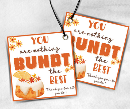 Bundt cake Teacher Appreciation Treat Tag, End Of Year Snack Tag, Appreciation Treat Tag, Thank You bundt cake Tag, Volunteer Thank You tag-New Listings -TheHustlingCatLady-Planner Templates