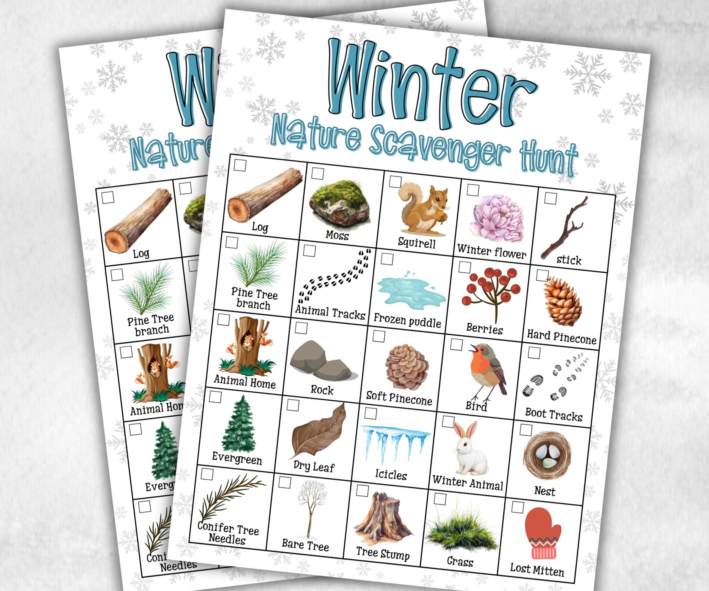 Winter Nature Scavenger Outdoor Activity, Printable Outdoor activity, Scavenger Hunt, Winter Treasure Hunt, Winter Nature Walk Nature Study-Christmas -TheHustlingCatLady-Party Games