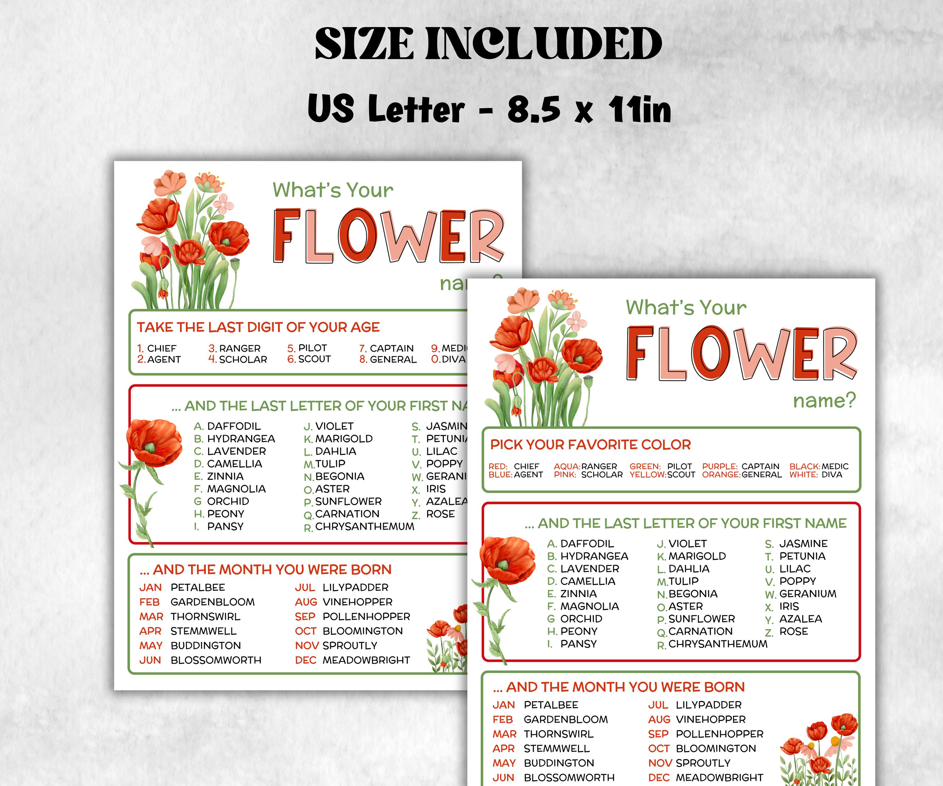 What is your flower name printable game, office party, daycare, Name board sign, party decoration, Name tag, birthday nickname, summer game-Holidays -TheHustlingCatLady-Party Games