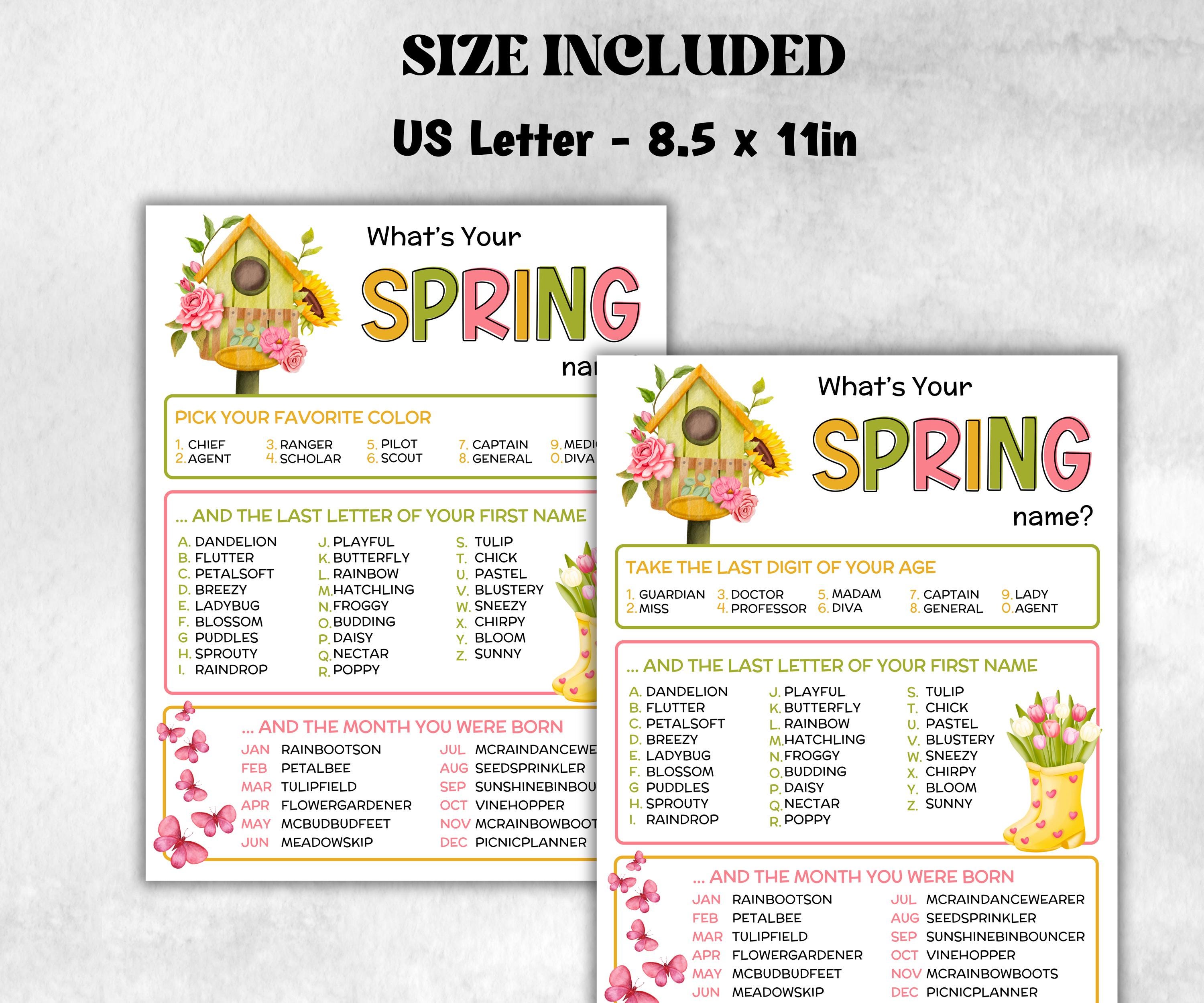 What is your Spring name printable game, office party, daycare name, Name board sign, party decoration, Name tag, birthday nickname, summer-Holidays -TheHustlingCatLady-Stickers, Labels & Tags