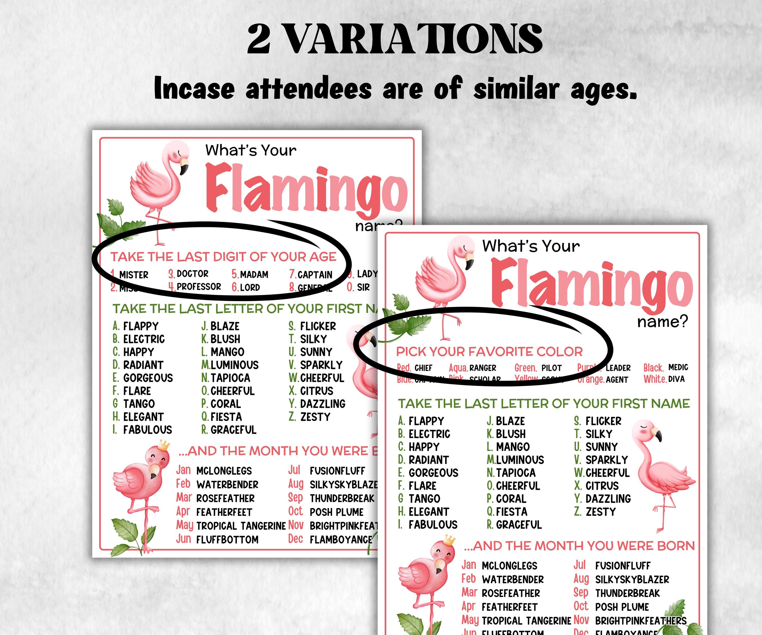 What is your Flamingo name printable game, office party, daycare, Name board sign, party decoration, Name tag, birthday nickname, summer-Holidays -TheHustlingCatLady-Stickers, Labels & Tags