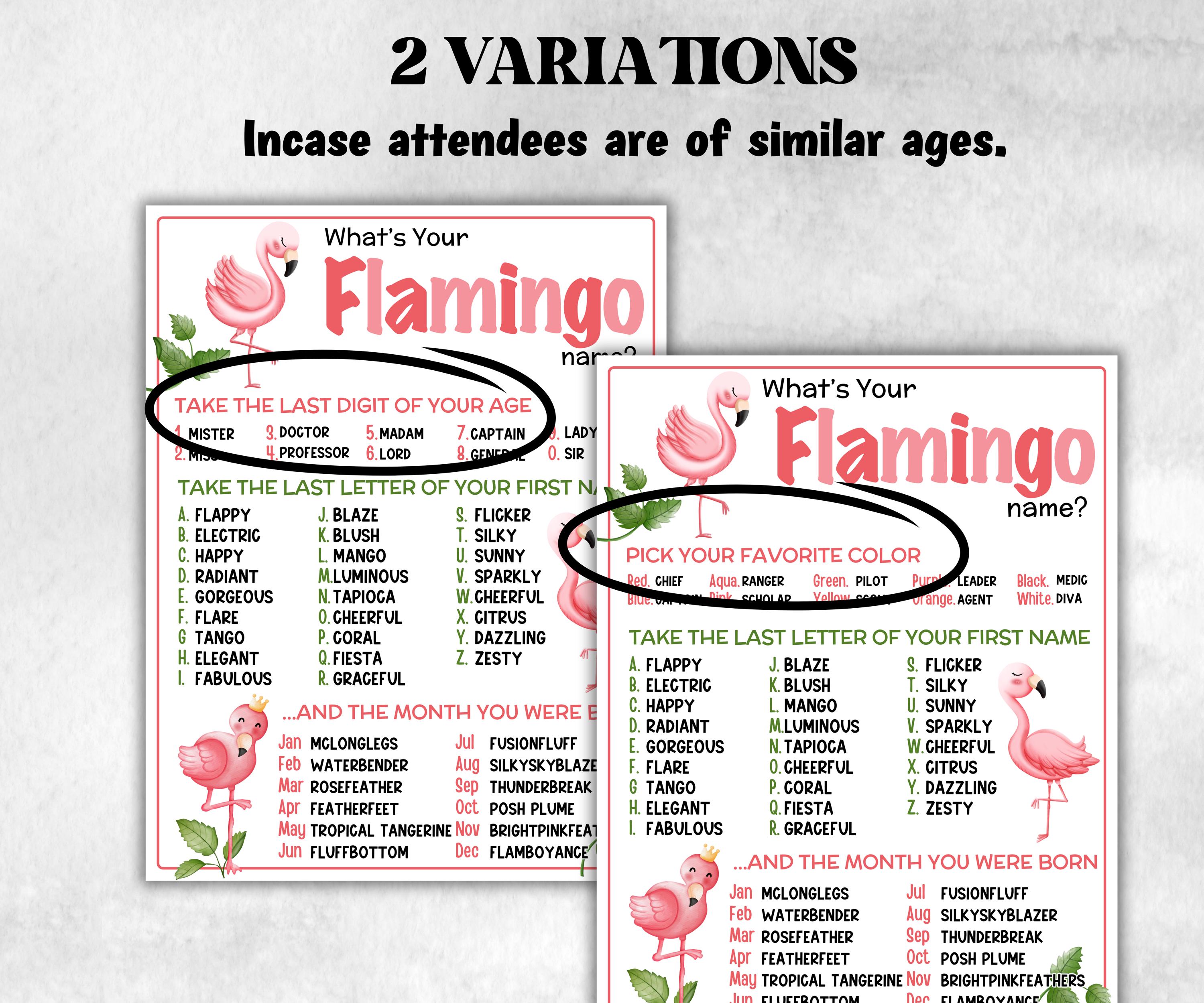 What is your Flamingo name printable game, office party, daycare, Name board sign, party decoration, Name tag, birthday nickname, summer-Holidays -TheHustlingCatLady-Stickers, Labels & Tags