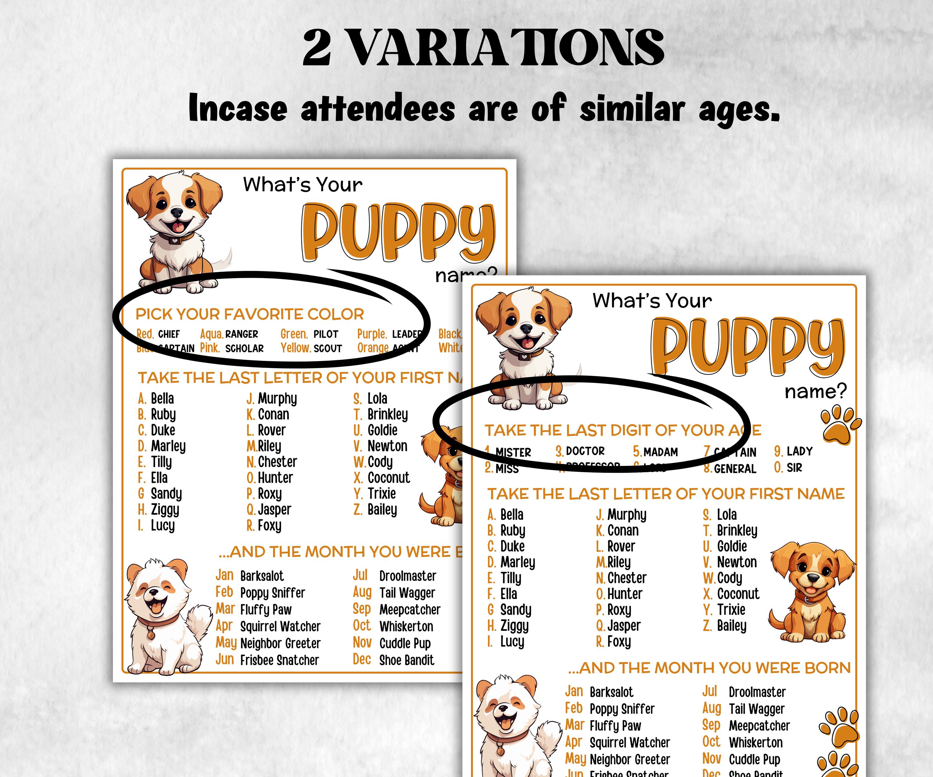 What is your Puppy name printable game, office party, daycare, Name board sign, party decoration, Name tag, birthday nickname, summer game-Holidays -TheHustlingCatLady-Stickers, Labels & Tags