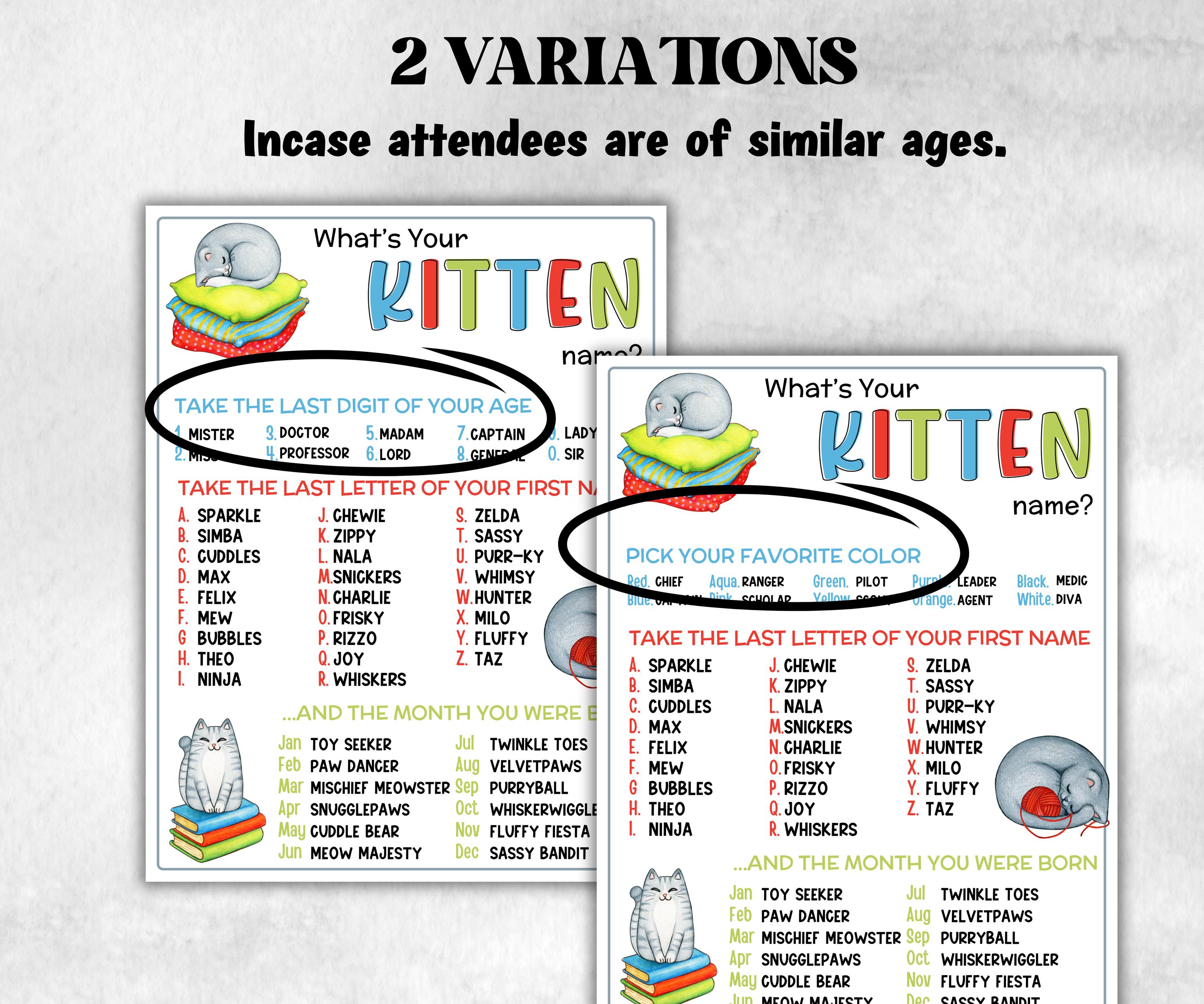 What is your Kitten name printable game, office party, daycare, Name board sign, party decoration, Name tag, birthday nickname, summer game-Holidays -TheHustlingCatLady-Stickers, Labels & Tags