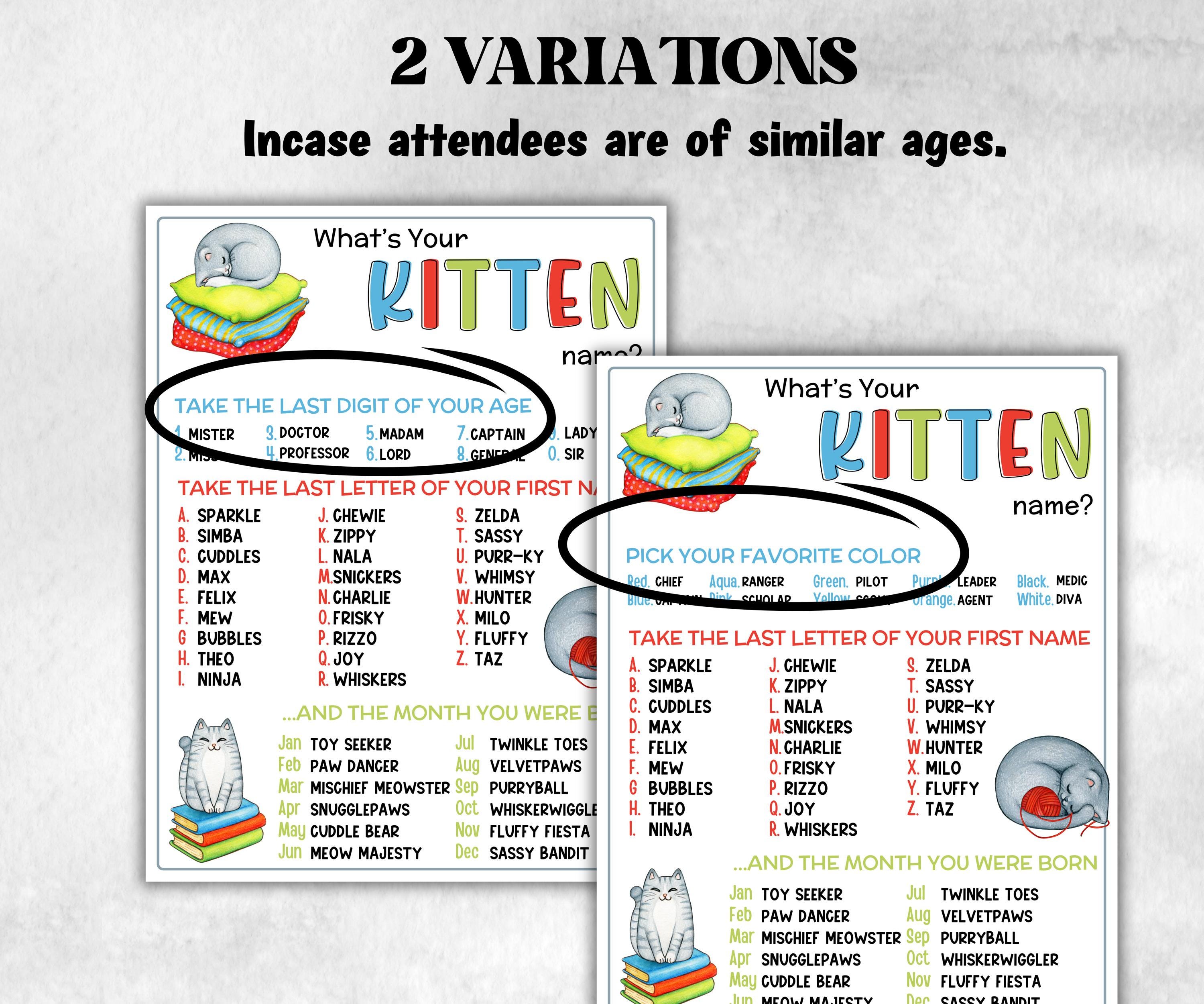 What is your Kitten name printable game, office party, daycare, Name board sign, party decoration, Name tag, birthday nickname, summer game-Holidays -TheHustlingCatLady-Stickers, Labels & Tags
