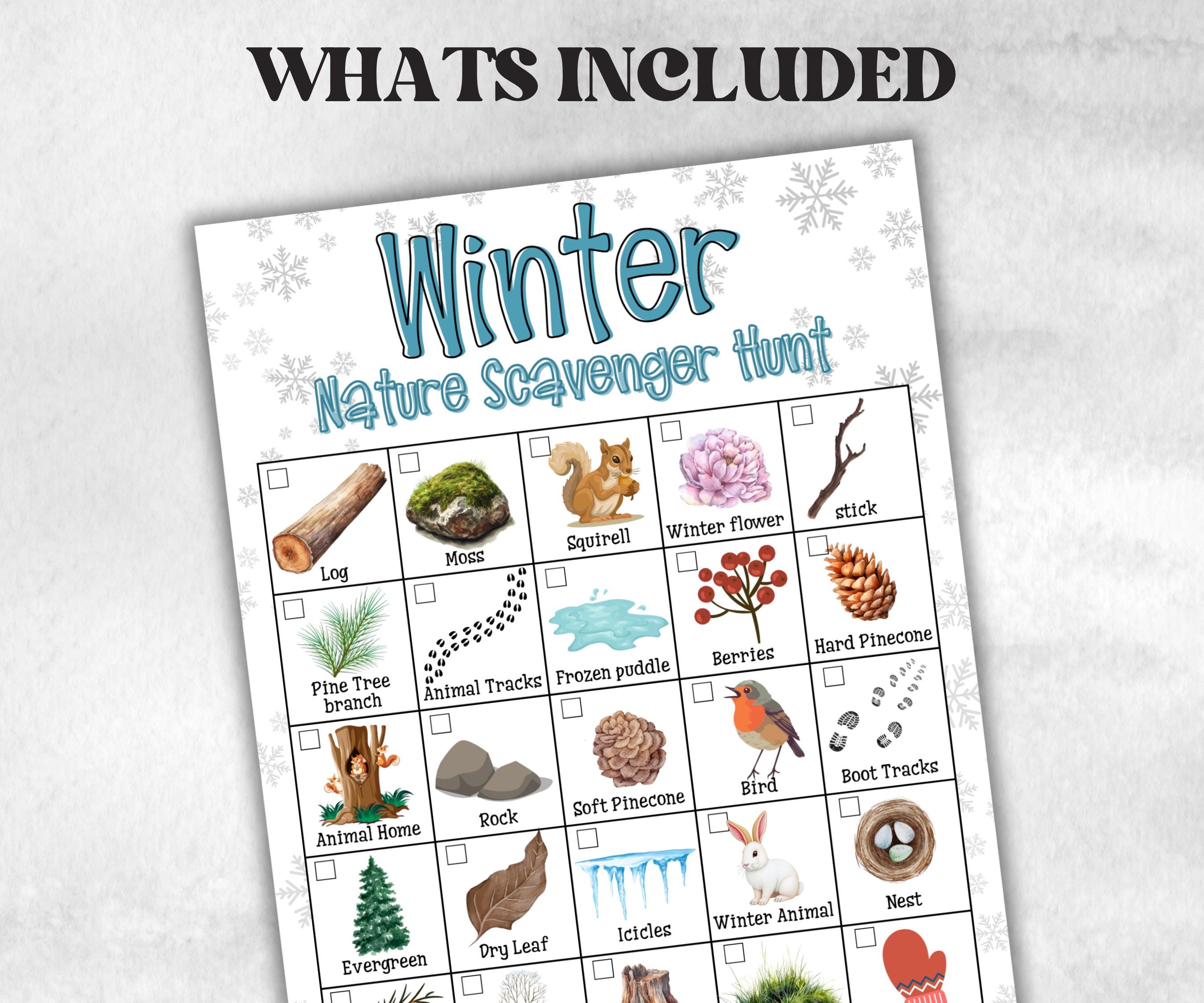 Winter Nature Scavenger Outdoor Activity, Printable Outdoor activity, Scavenger Hunt, Winter Treasure Hunt, Winter Nature Walk Nature Study-Christmas -TheHustlingCatLady-Party Games