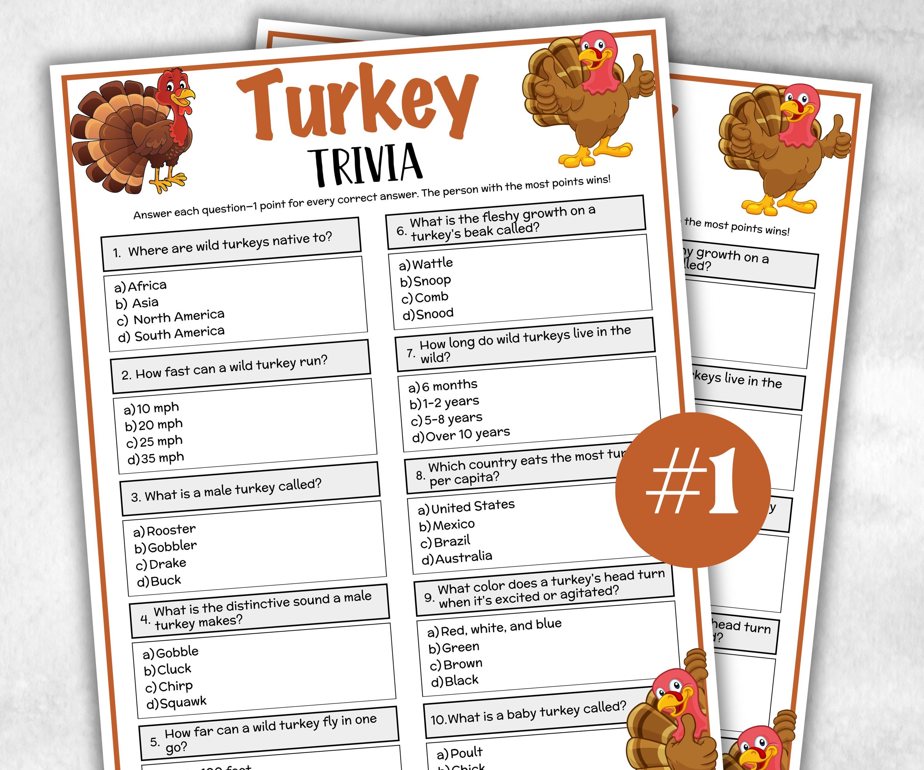 Turkey Trivia Game, Thanksgiving Fall Party Trivia Game, Friendsgiving Family Trivia Game for kids and adults, Printable Classroom Game fun-Holidays -TheHustlingCatLady-Party Games