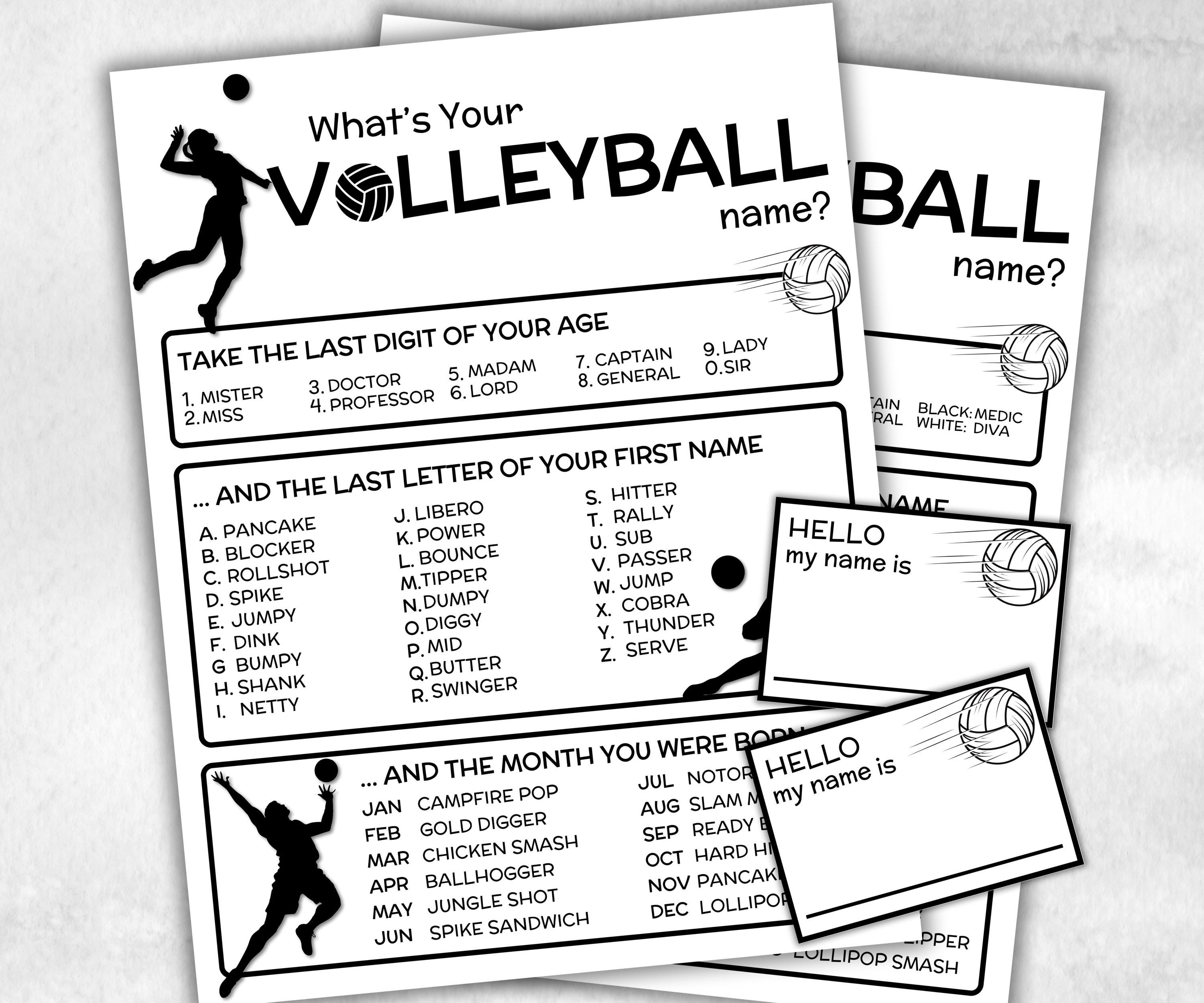 What is your Volleyball name printable game, office party, daycare name, Name board sign, party decoration, Name tag, birthday nicknames-Holidays -TheHustlingCatLady-Stickers, Labels & Tags