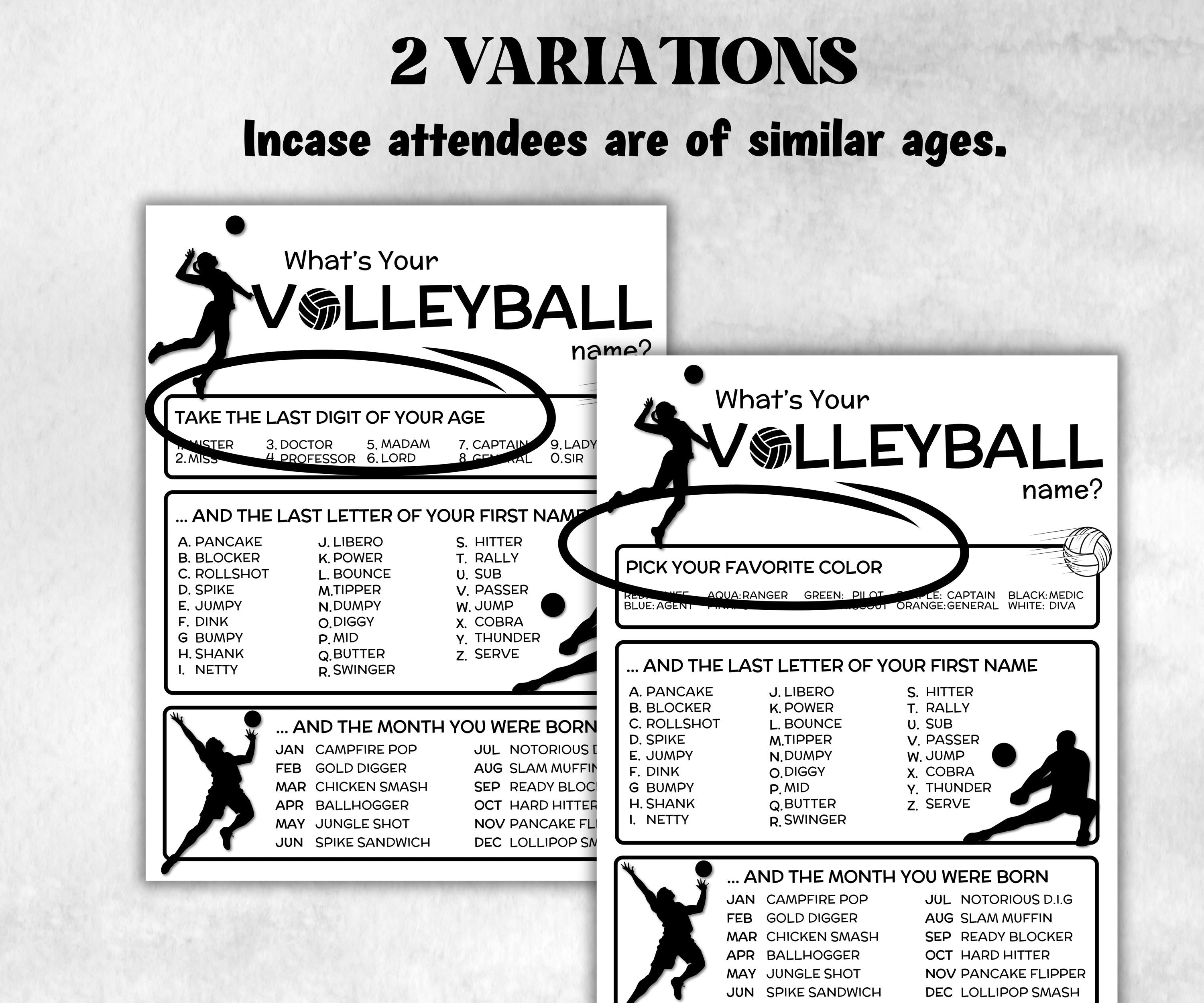 What is your Volleyball name printable game, office party, daycare name, Name board sign, party decoration, Name tag, birthday nicknames-Holidays -TheHustlingCatLady-Stickers, Labels & Tags