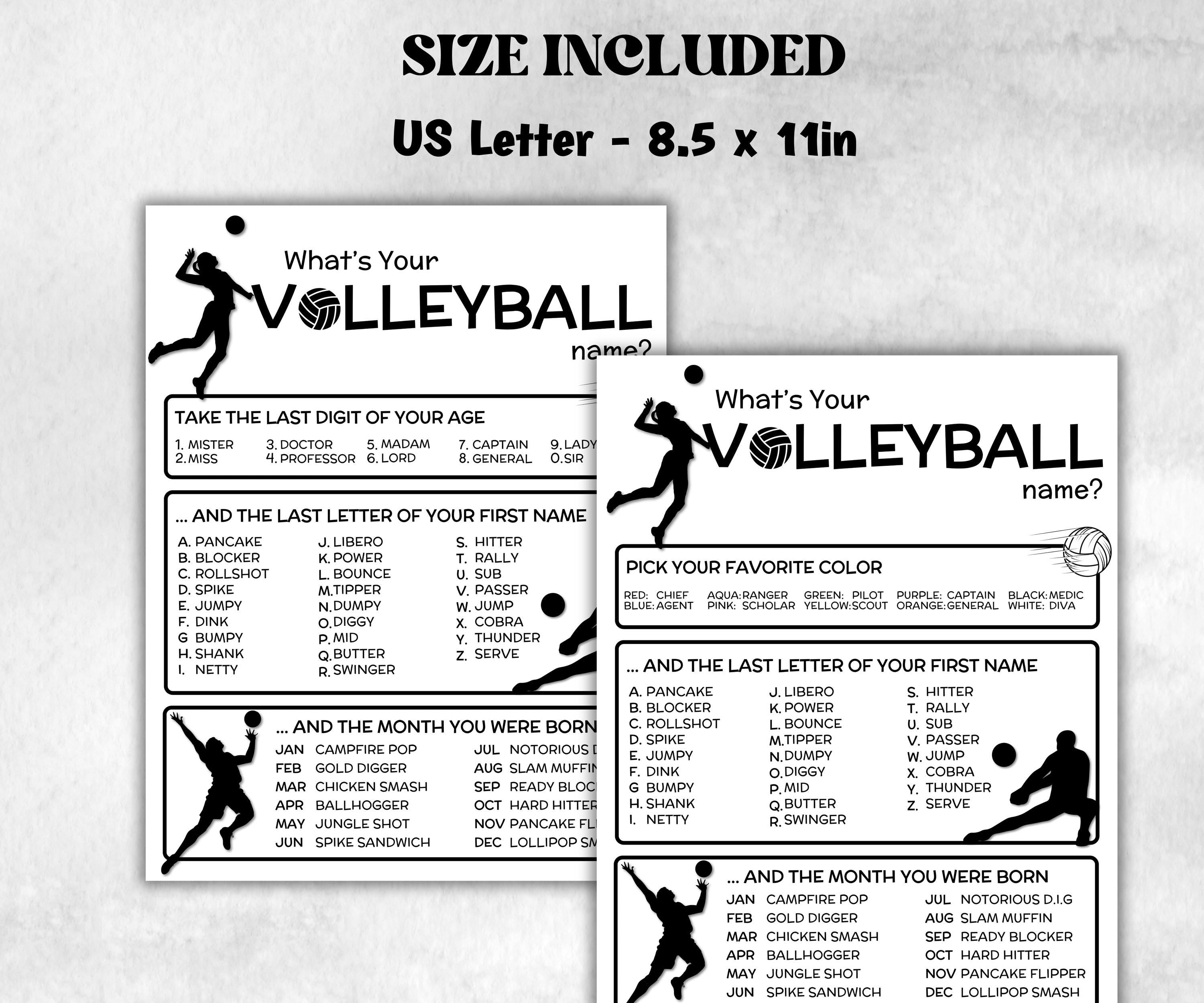 What is your Volleyball name printable game, office party, daycare name, Name board sign, party decoration, Name tag, birthday nicknames-Holidays -TheHustlingCatLady-Stickers, Labels & Tags
