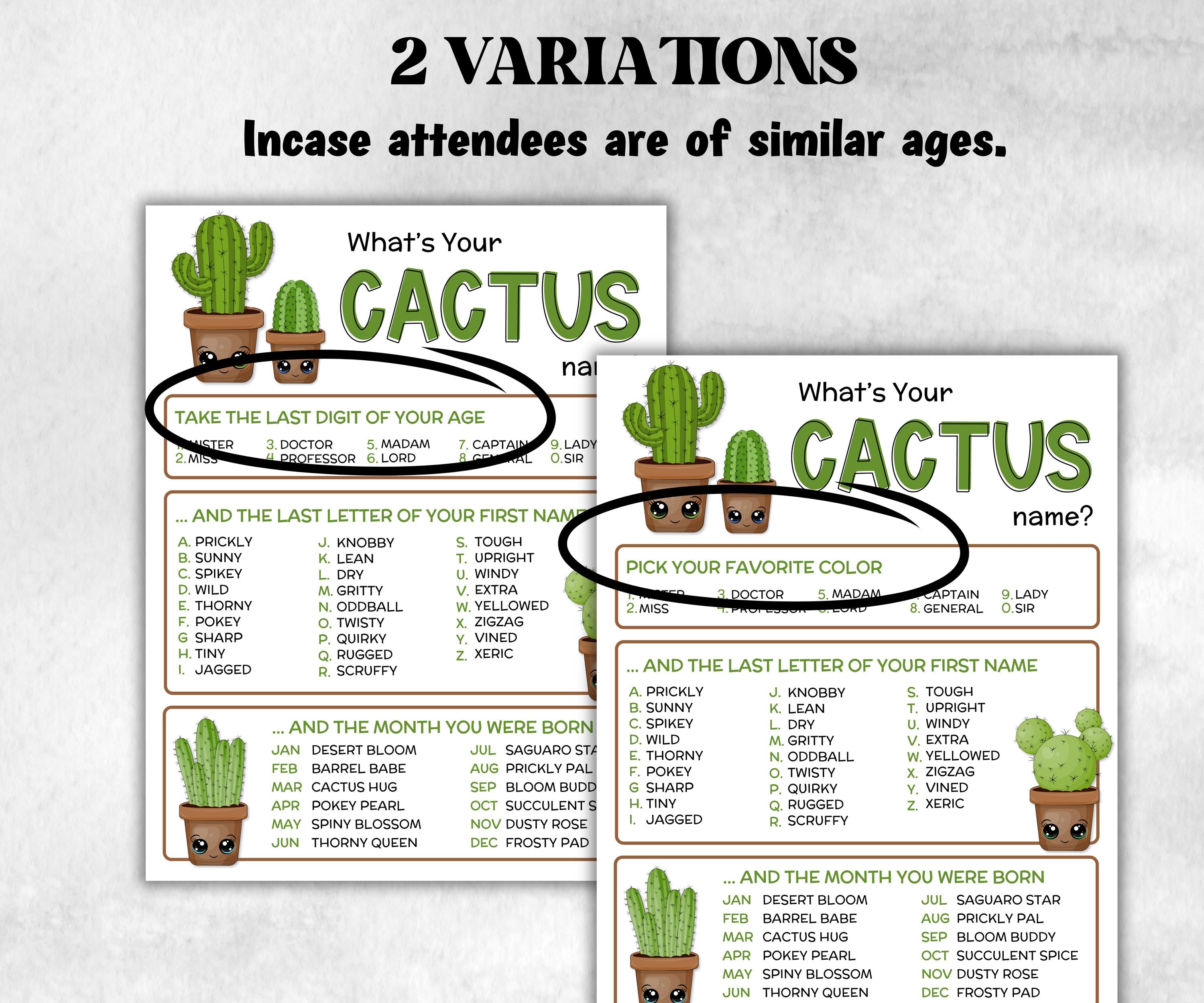What is your Cactus name printable game, office party, daycare name, Name board sign, party decoration, Name tag, birthday nickname, summer-Holidays -TheHustlingCatLady-Stickers, Labels & Tags