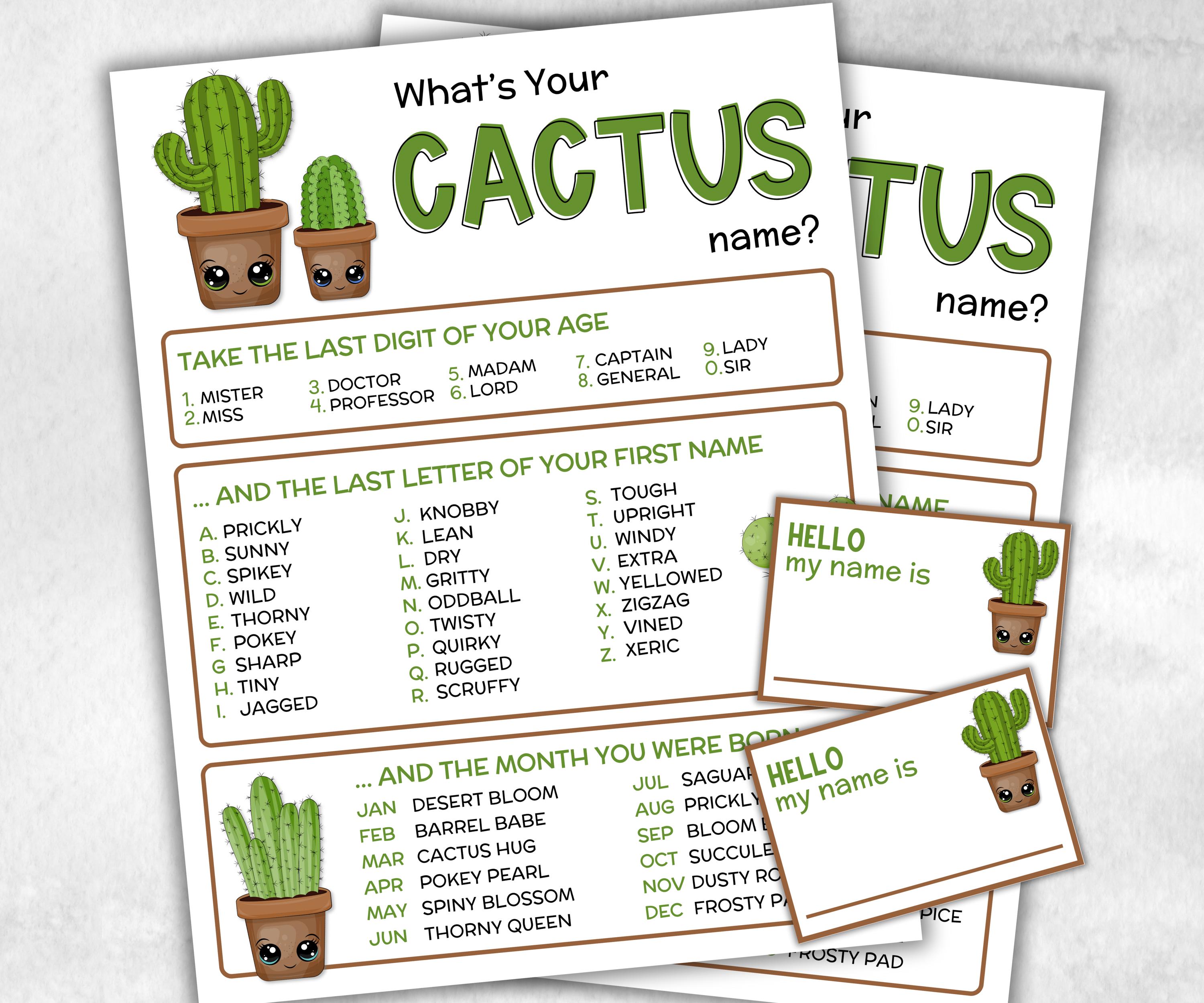 What is your Cactus name printable game, office party, daycare name, Name board sign, party decoration, Name tag, birthday nickname, summer-Holidays -TheHustlingCatLady-Stickers, Labels & Tags