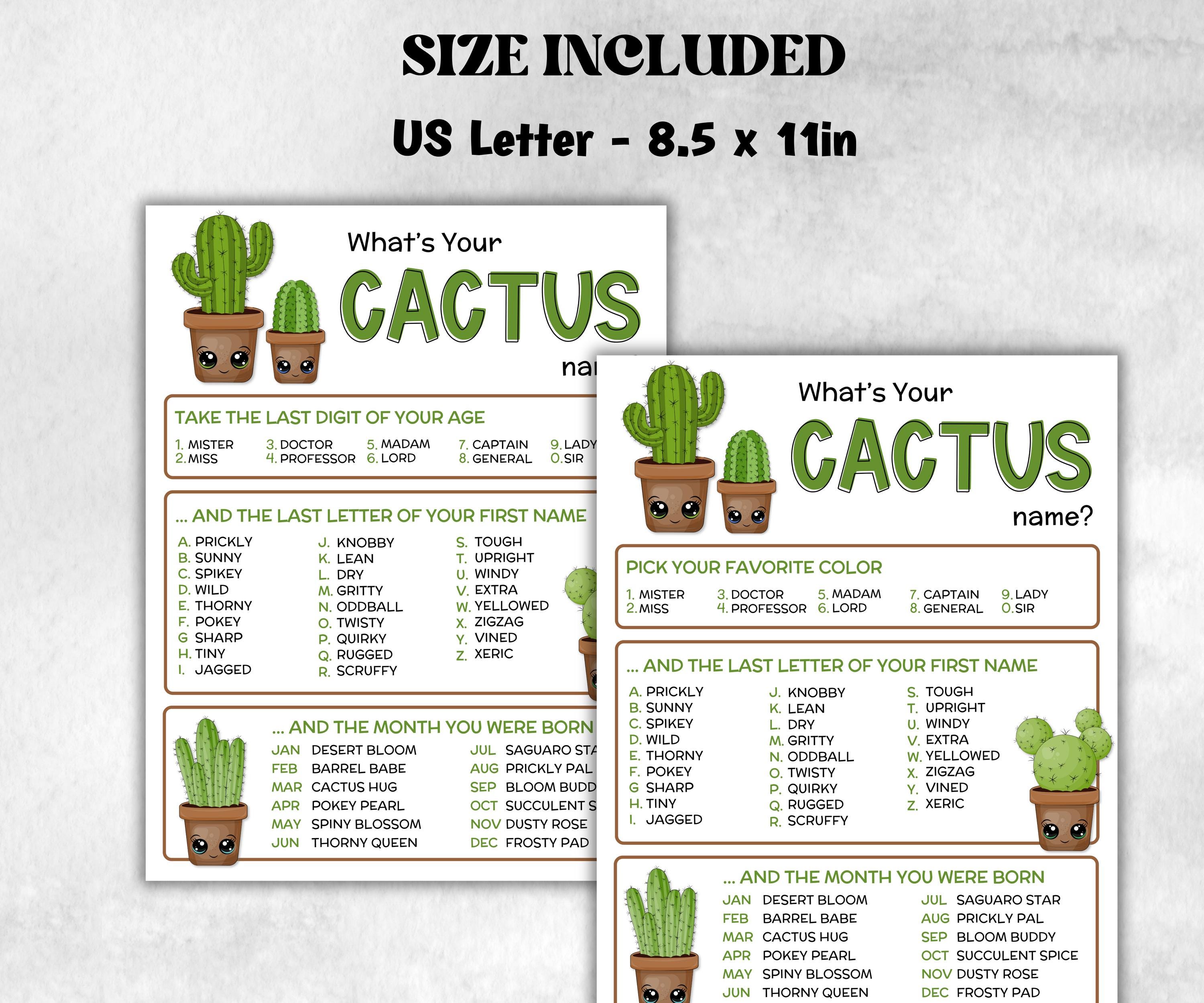 What is your Cactus name printable game, office party, daycare name, Name board sign, party decoration, Name tag, birthday nickname, summer-Holidays -TheHustlingCatLady-Stickers, Labels & Tags