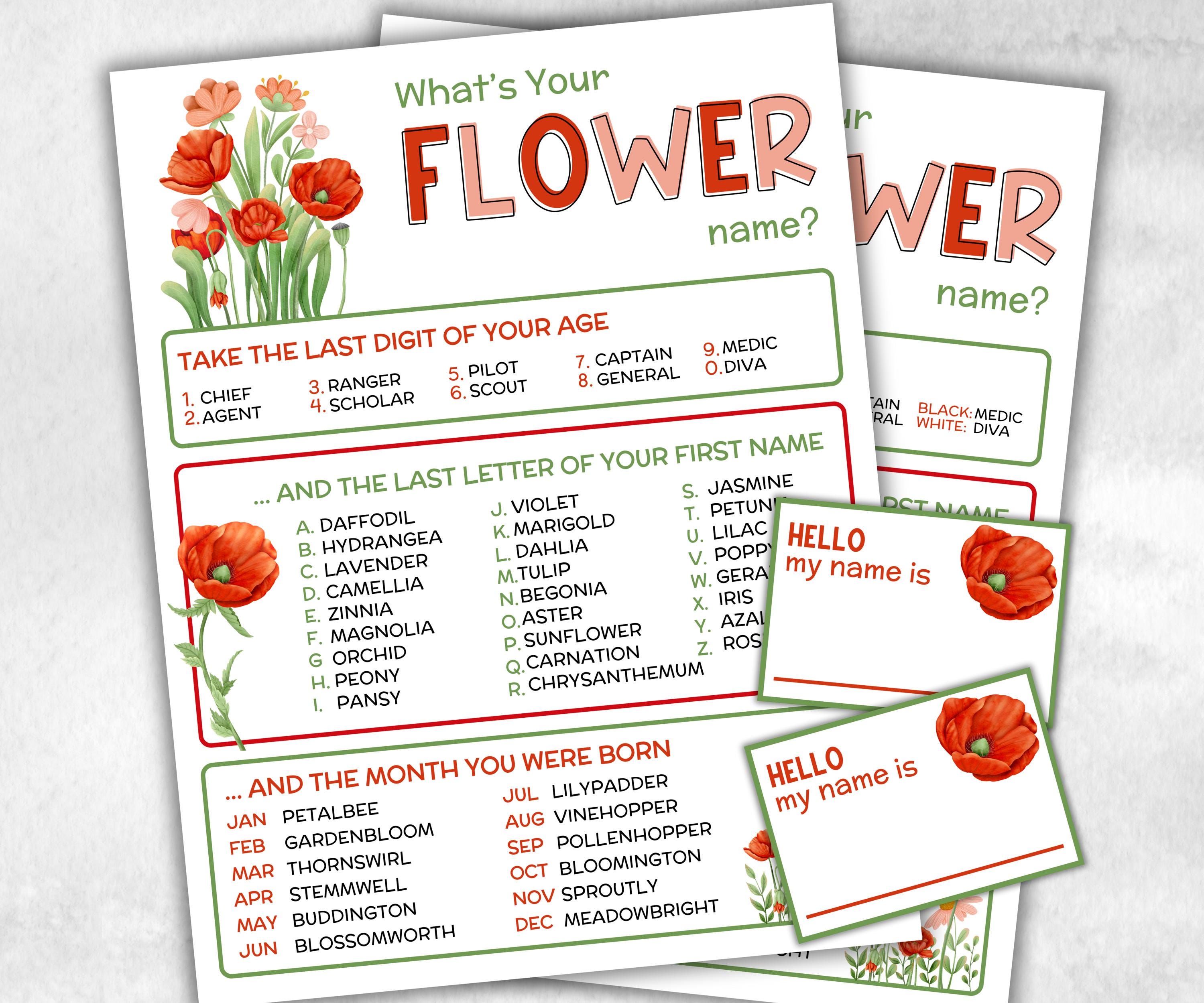 What is your flower name printable game, office party, daycare, Name board sign, party decoration, Name tag, birthday nickname, summer game-Holidays -TheHustlingCatLady-Party Games