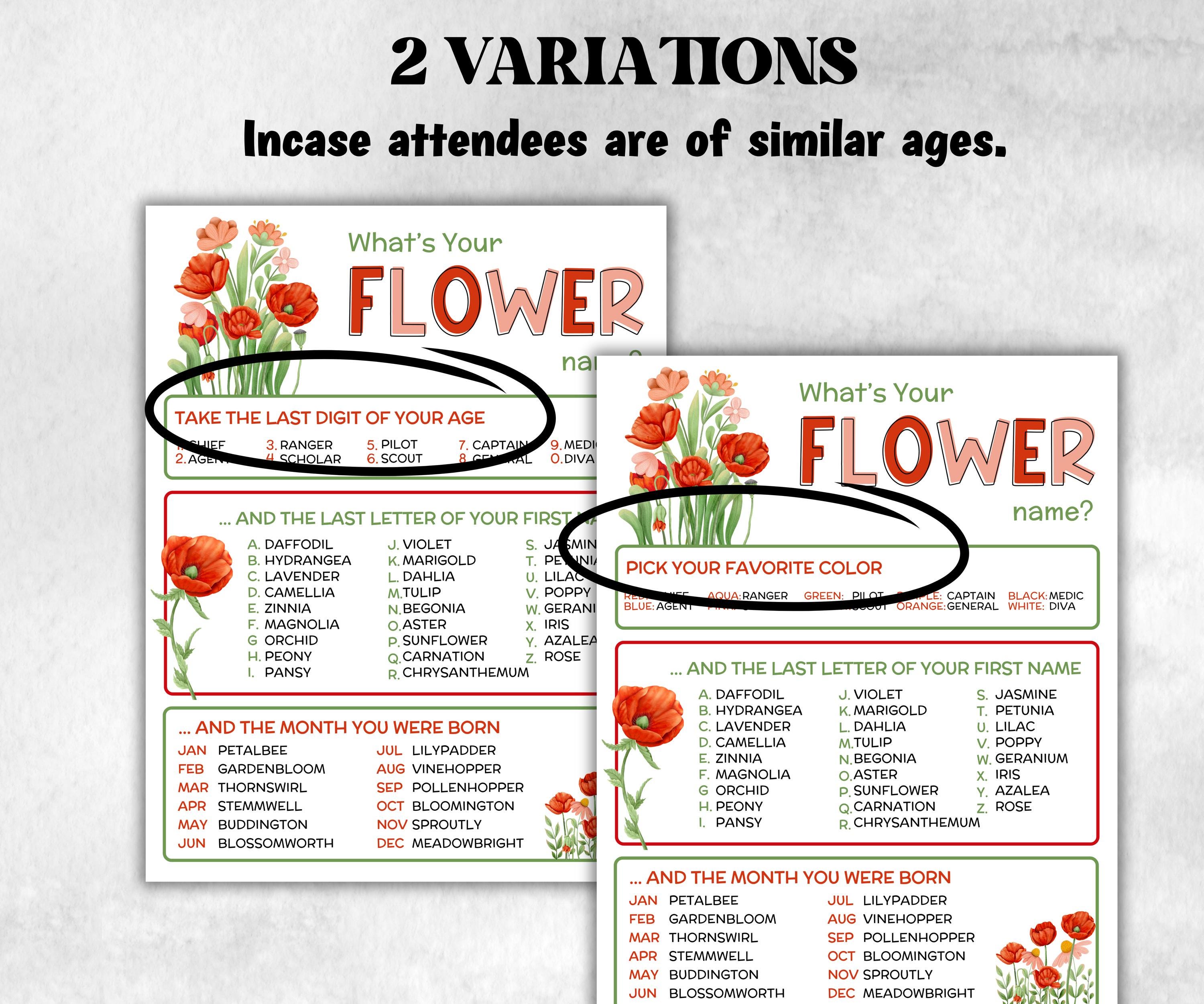 What is your flower name printable game, office party, daycare, Name board sign, party decoration, Name tag, birthday nickname, summer game-Holidays -TheHustlingCatLady-Party Games