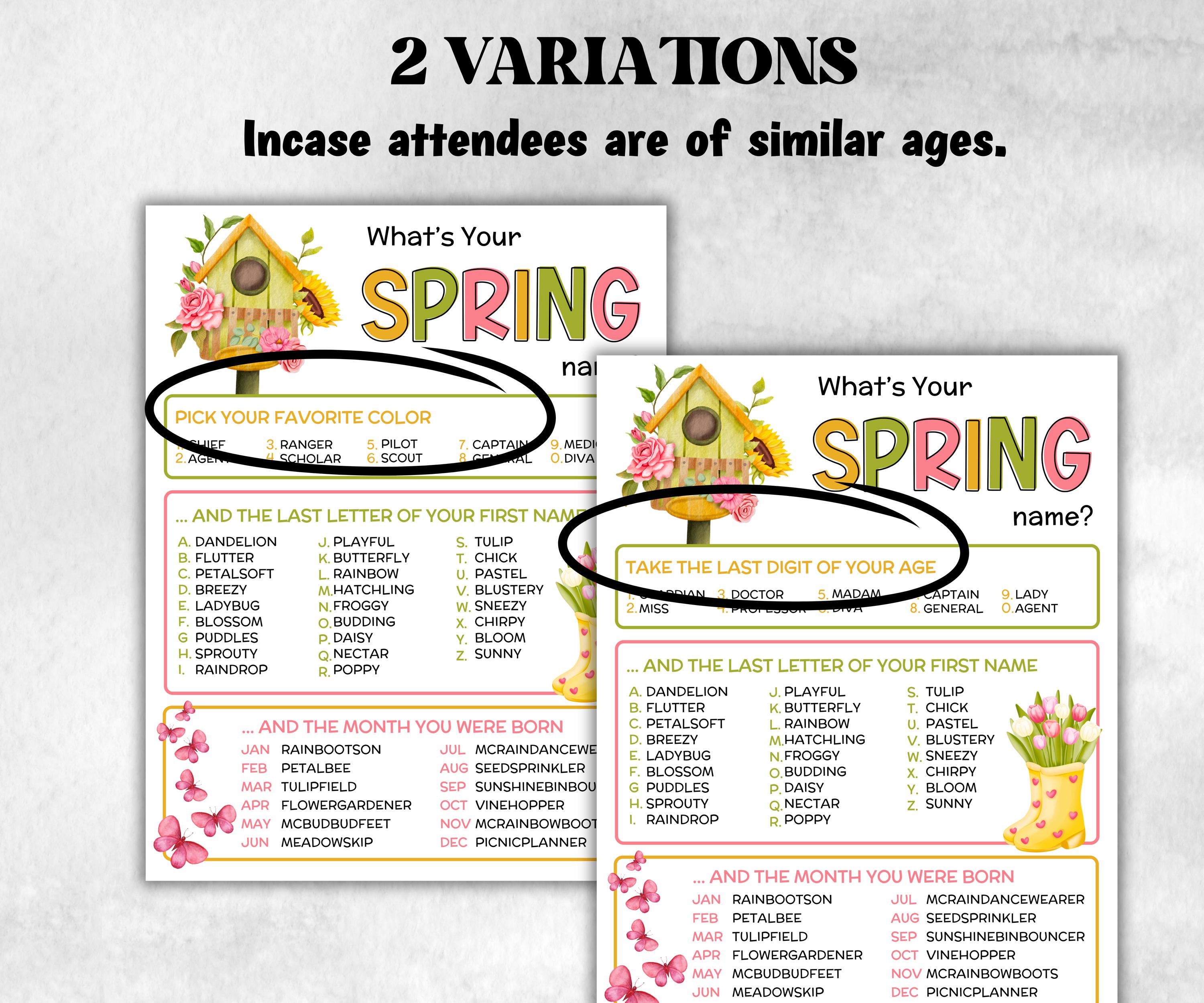 What is your Spring name printable game, office party, daycare name, Name board sign, party decoration, Name tag, birthday nickname, summer-Holidays -TheHustlingCatLady-Stickers, Labels & Tags