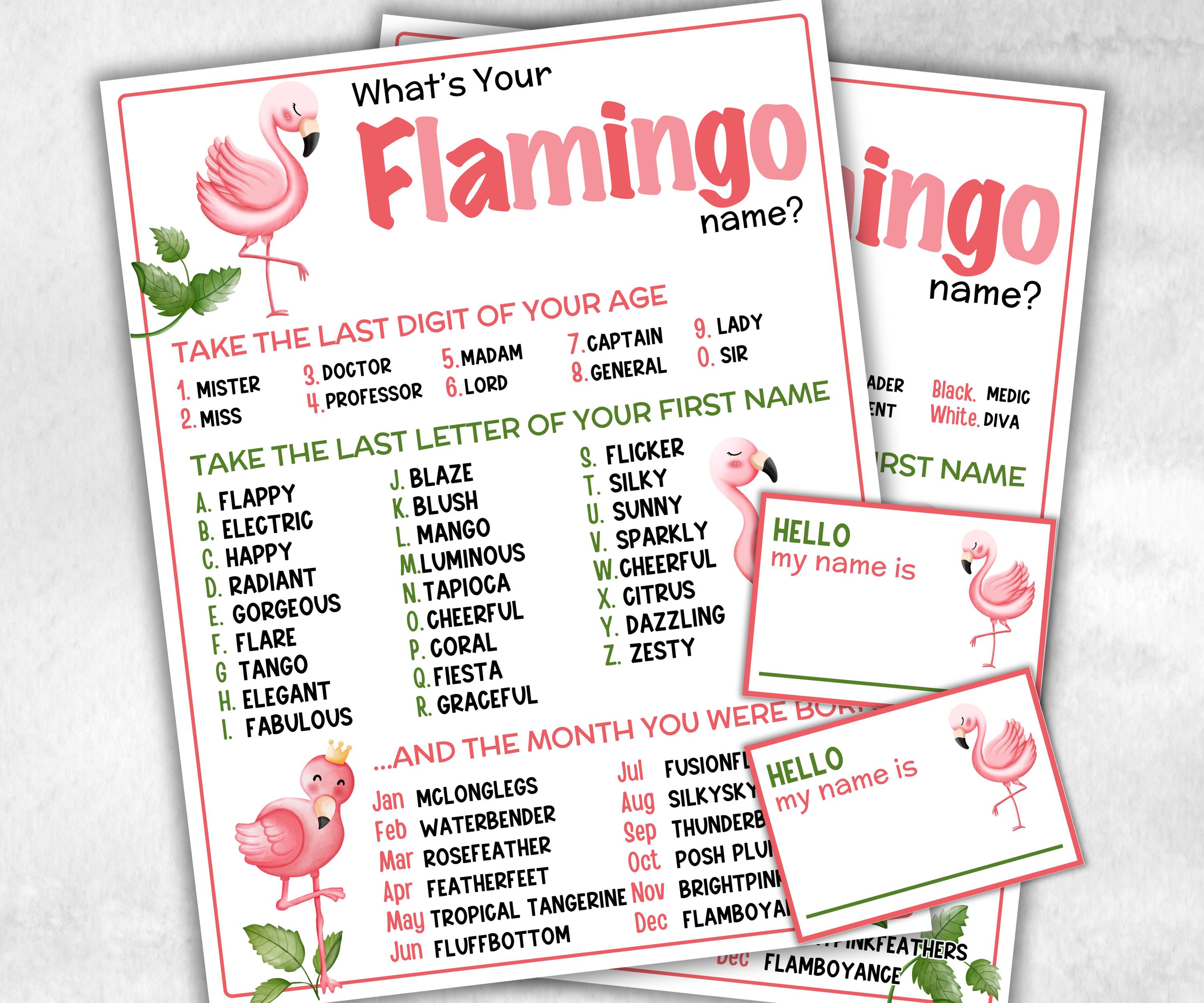 What is your Flamingo name printable game, office party, daycare, Name board sign, party decoration, Name tag, birthday nickname, summer-Holidays -TheHustlingCatLady-Stickers, Labels & Tags