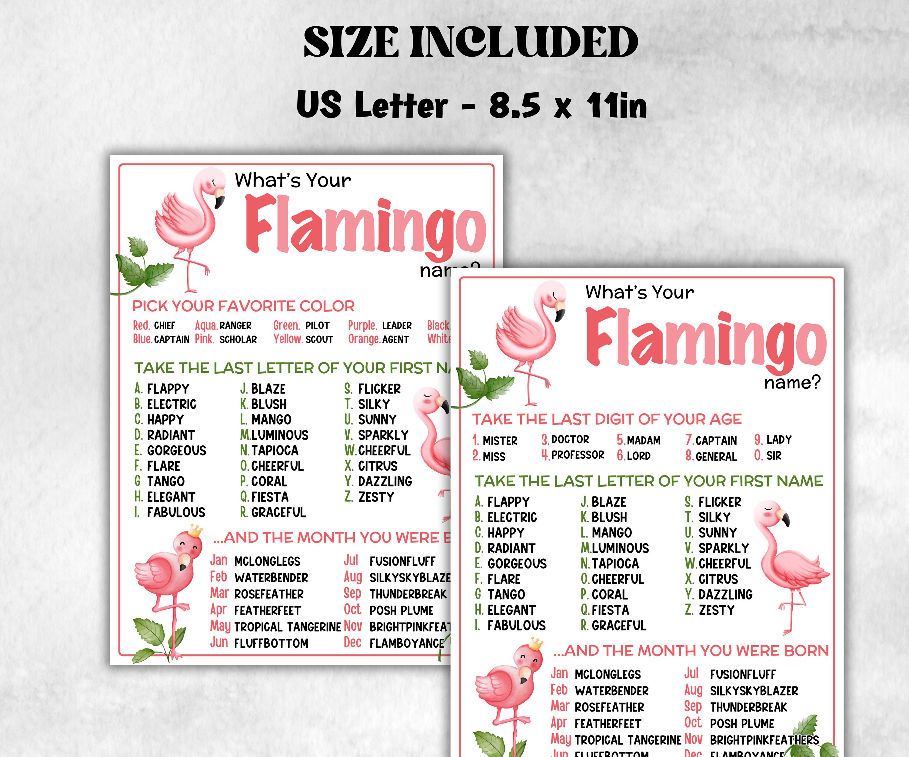 What is your Flamingo name printable game, office party, daycare, Name board sign, party decoration, Name tag, birthday nickname, summer-Holidays -TheHustlingCatLady-Stickers, Labels & Tags