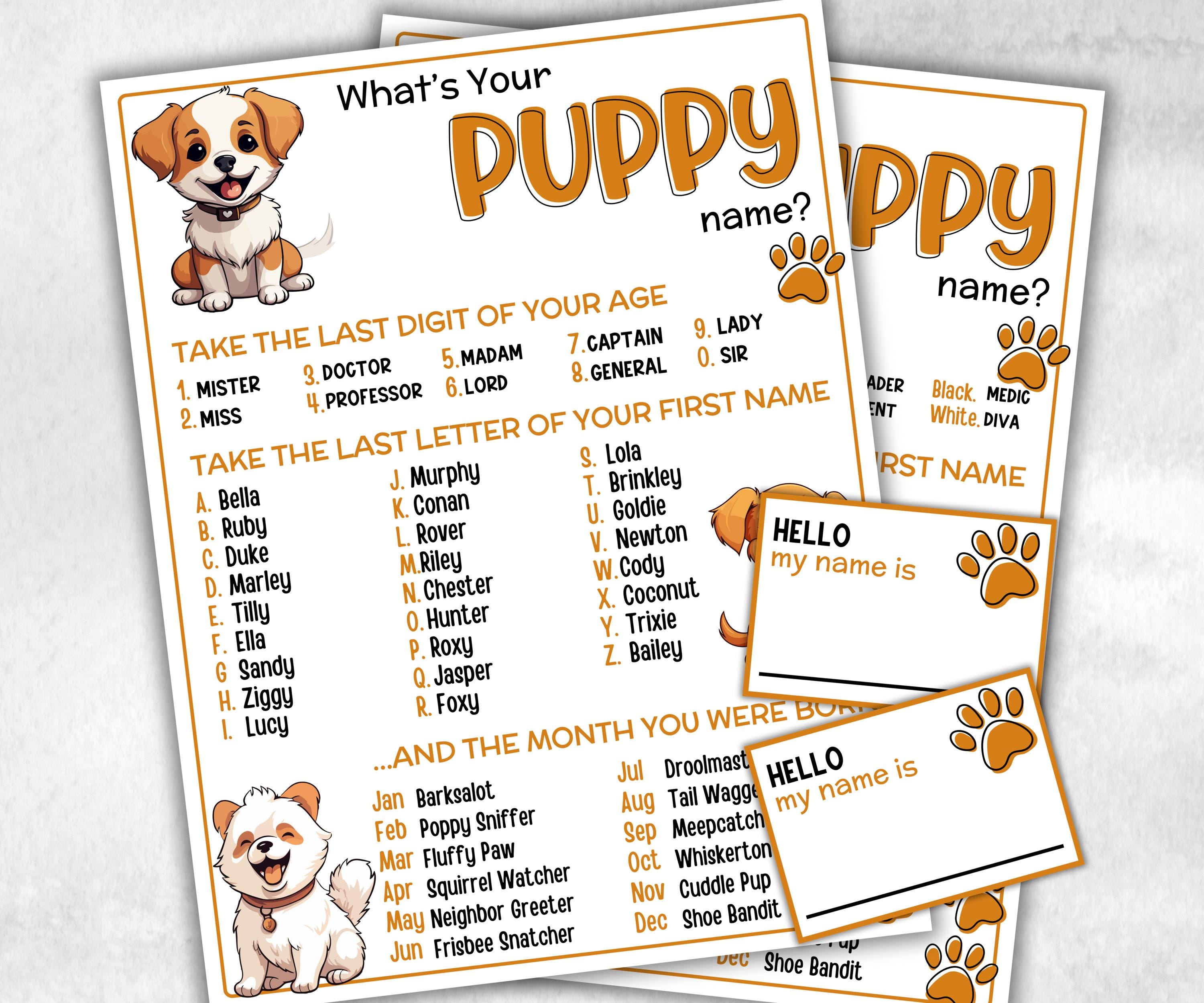 What is your Puppy name printable game, office party, daycare, Name board sign, party decoration, Name tag, birthday nickname, summer game-Holidays -TheHustlingCatLady-Stickers, Labels & Tags