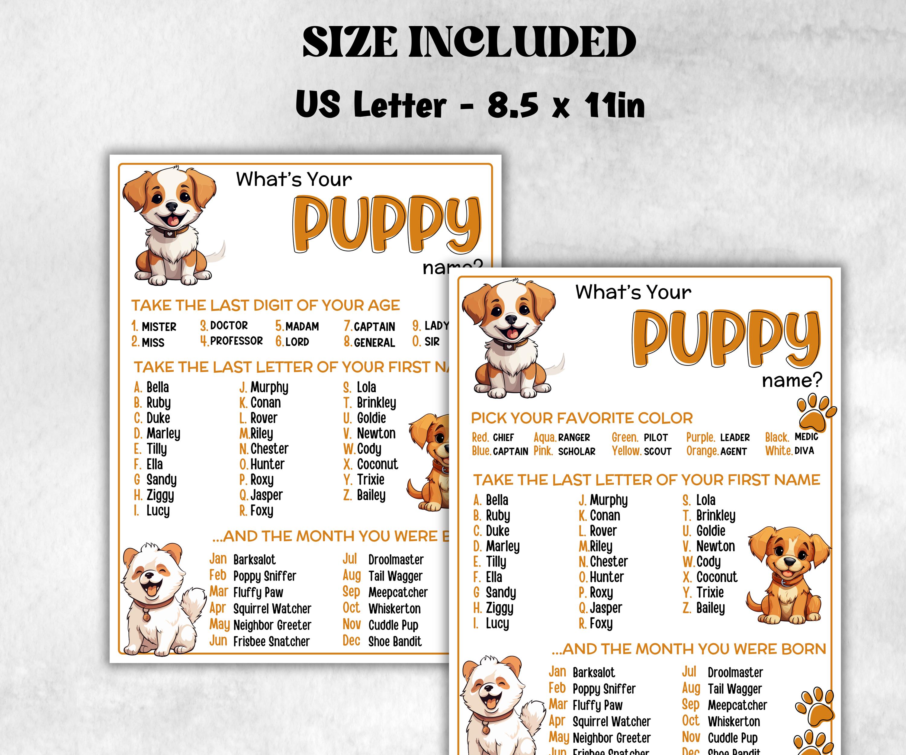 What is your Puppy name printable game, office party, daycare, Name board sign, party decoration, Name tag, birthday nickname, summer game-Holidays -TheHustlingCatLady-Stickers, Labels & Tags