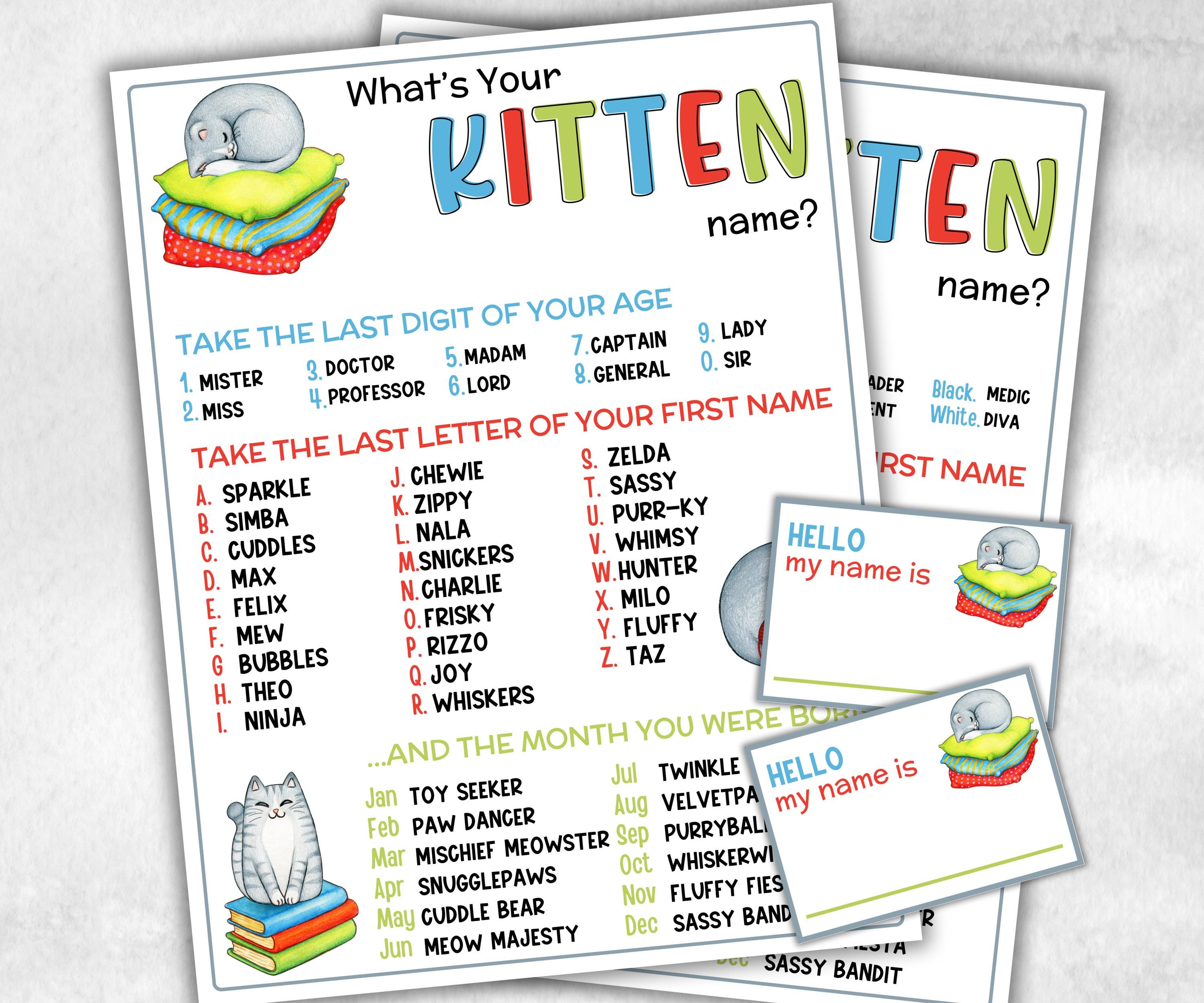 What is your Kitten name printable game, office party, daycare, Name board sign, party decoration, Name tag, birthday nickname, summer game-Holidays -TheHustlingCatLady-Stickers, Labels & Tags