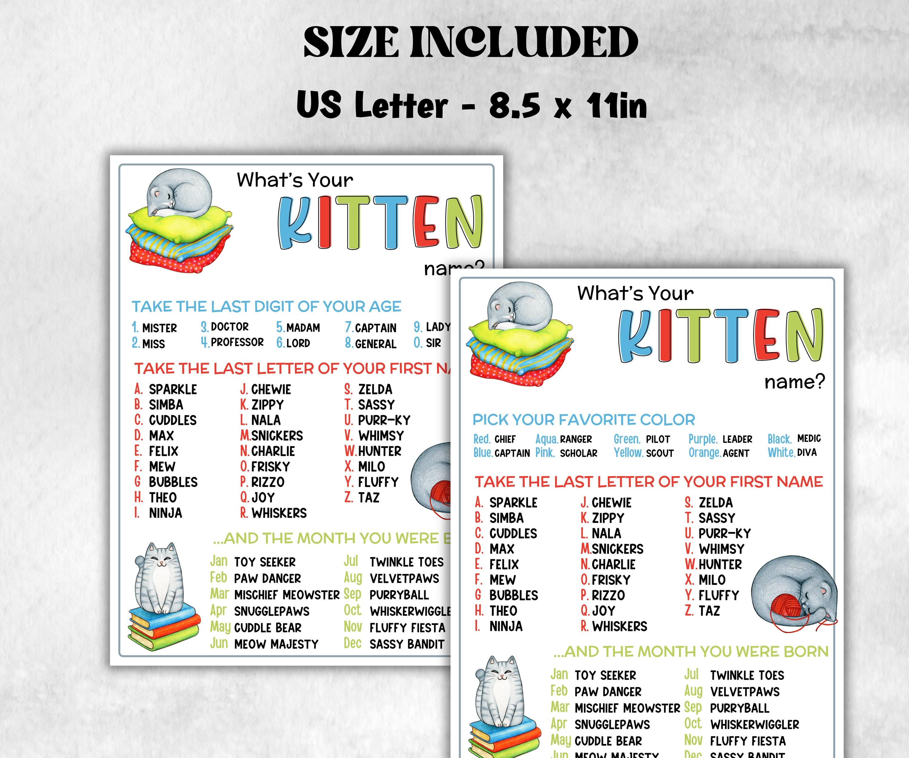 What is your Kitten name printable game, office party, daycare, Name board sign, party decoration, Name tag, birthday nickname, summer game-Holidays -TheHustlingCatLady-Stickers, Labels & Tags