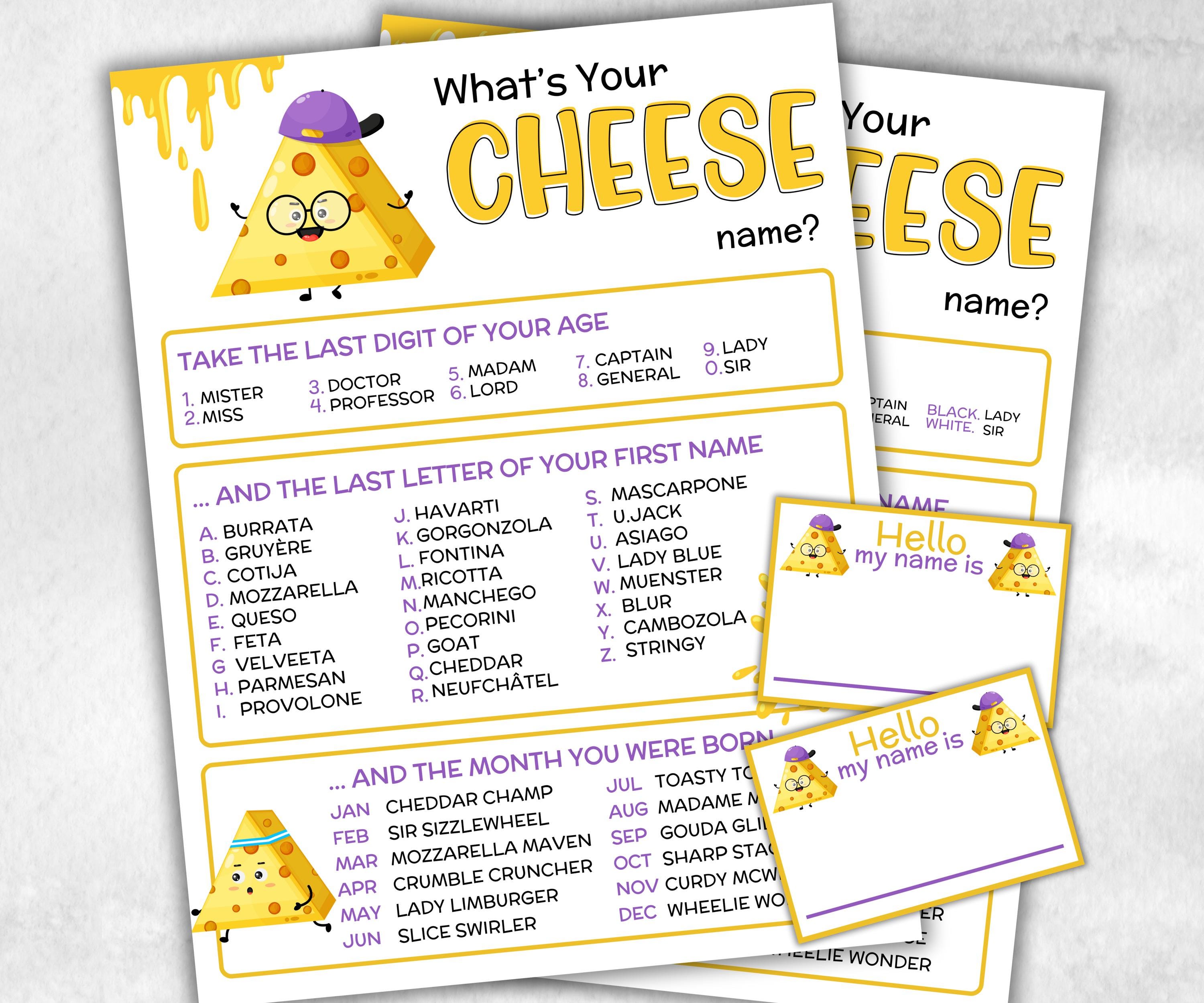 What is your cheese name printable game, office party, daycare, Name board sign, party decoration, Name tag, birthday nickname, summer game-Holidays -TheHustlingCatLady-Stickers, Labels & Tags