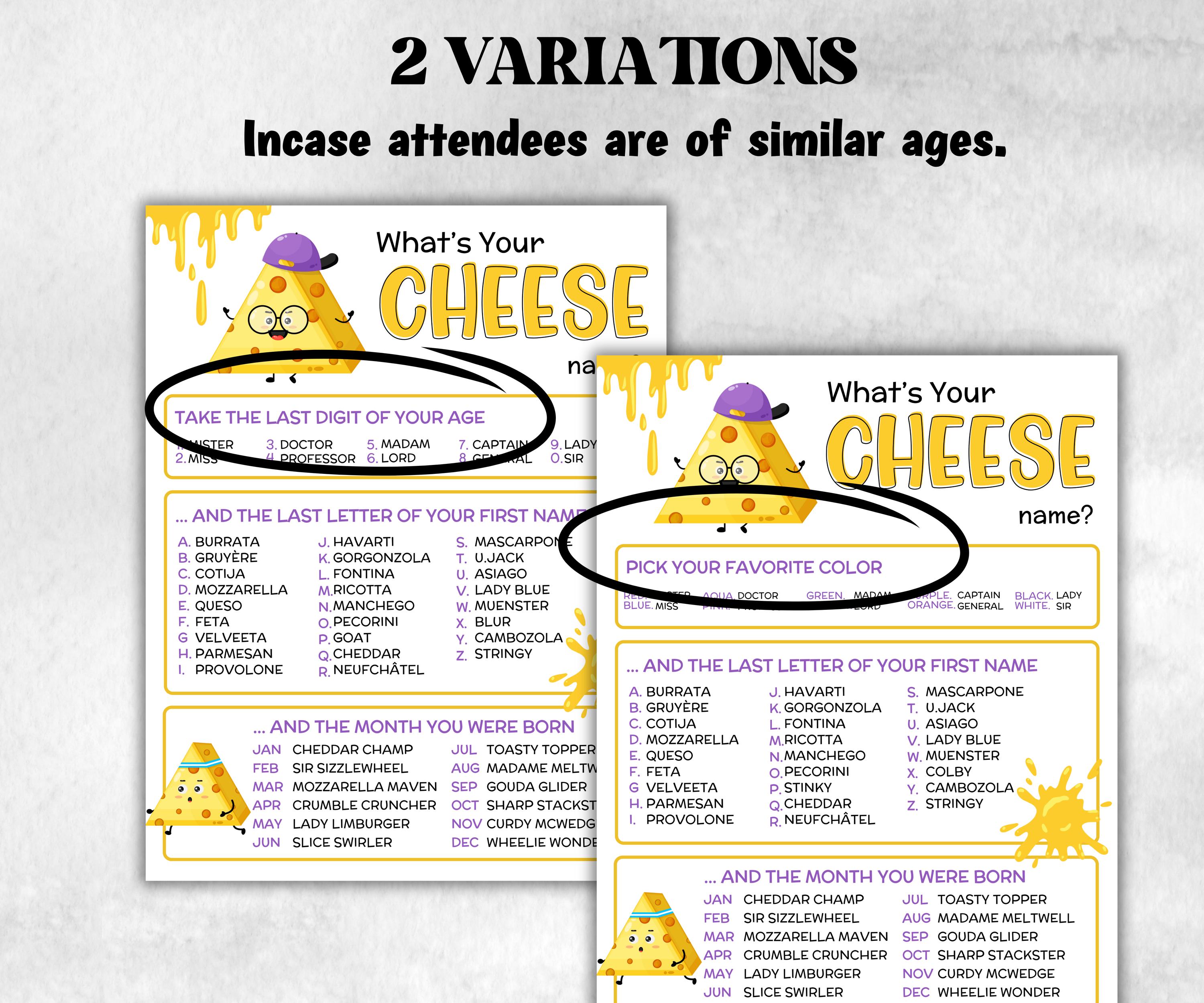 What is your cheese name printable game, office party, daycare, Name board sign, party decoration, Name tag, birthday nickname, summer game-Holidays -TheHustlingCatLady-Stickers, Labels & Tags