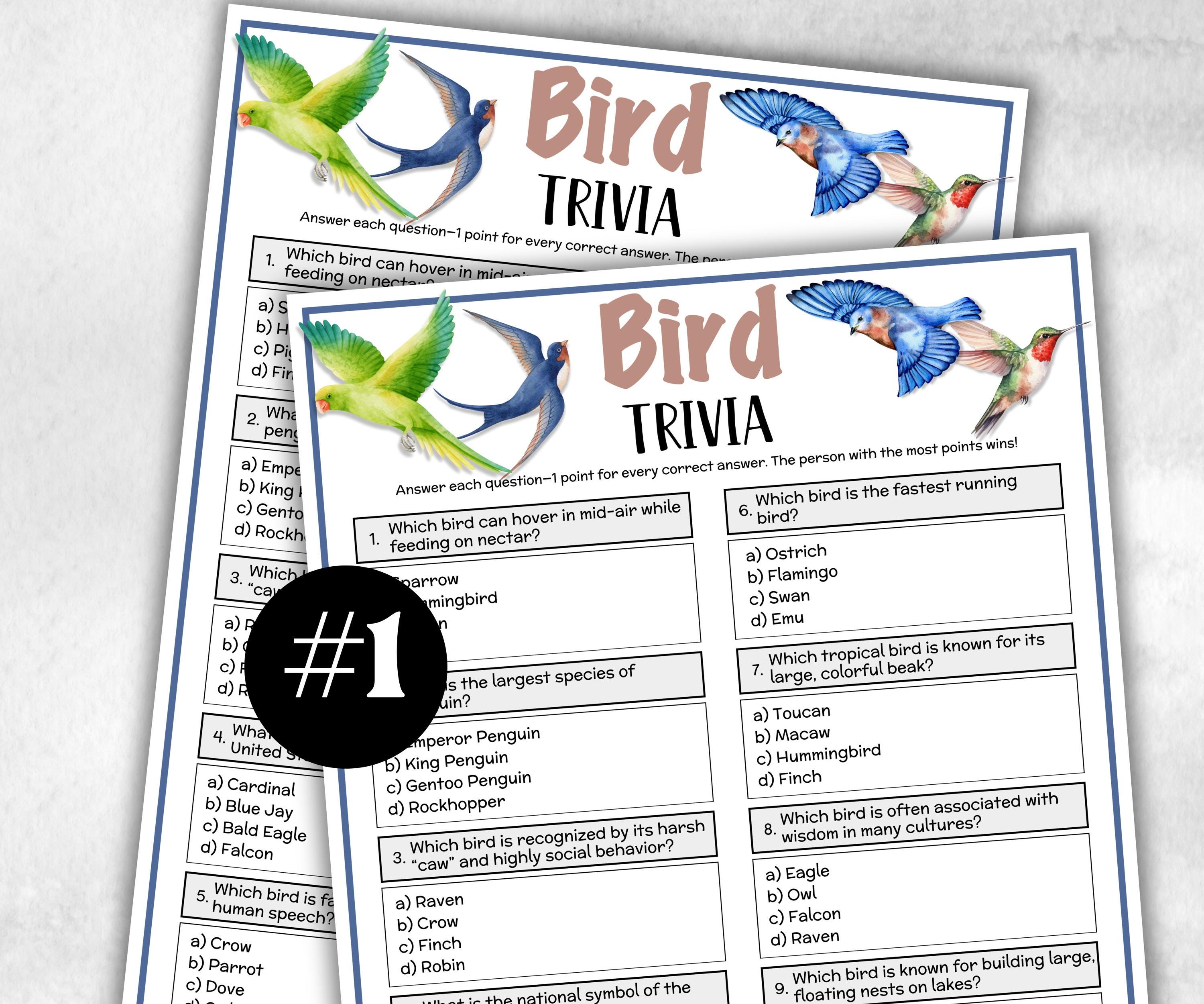 Printable Bird Trivia, Theme Birthday, Seniors Trivia Night, summer Spring, dill with it, Sunday School, Women Ministry, xmas family reunion-Holidays -TheHustlingCatLady-Party Games