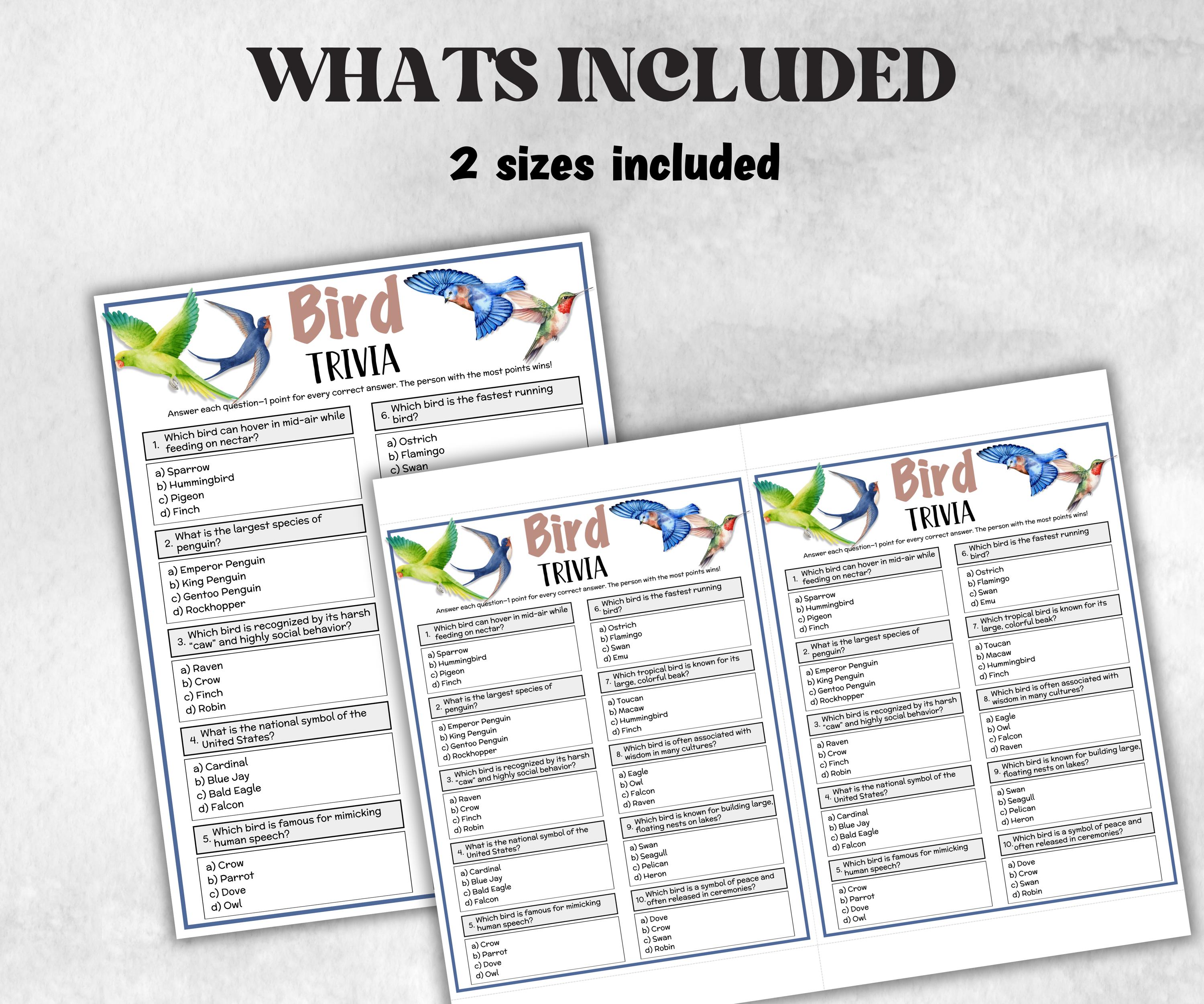 Printable Bird Trivia, Theme Birthday, Seniors Trivia Night, summer Spring, dill with it, Sunday School, Women Ministry, xmas family reunion-Holidays -TheHustlingCatLady-Party Games
