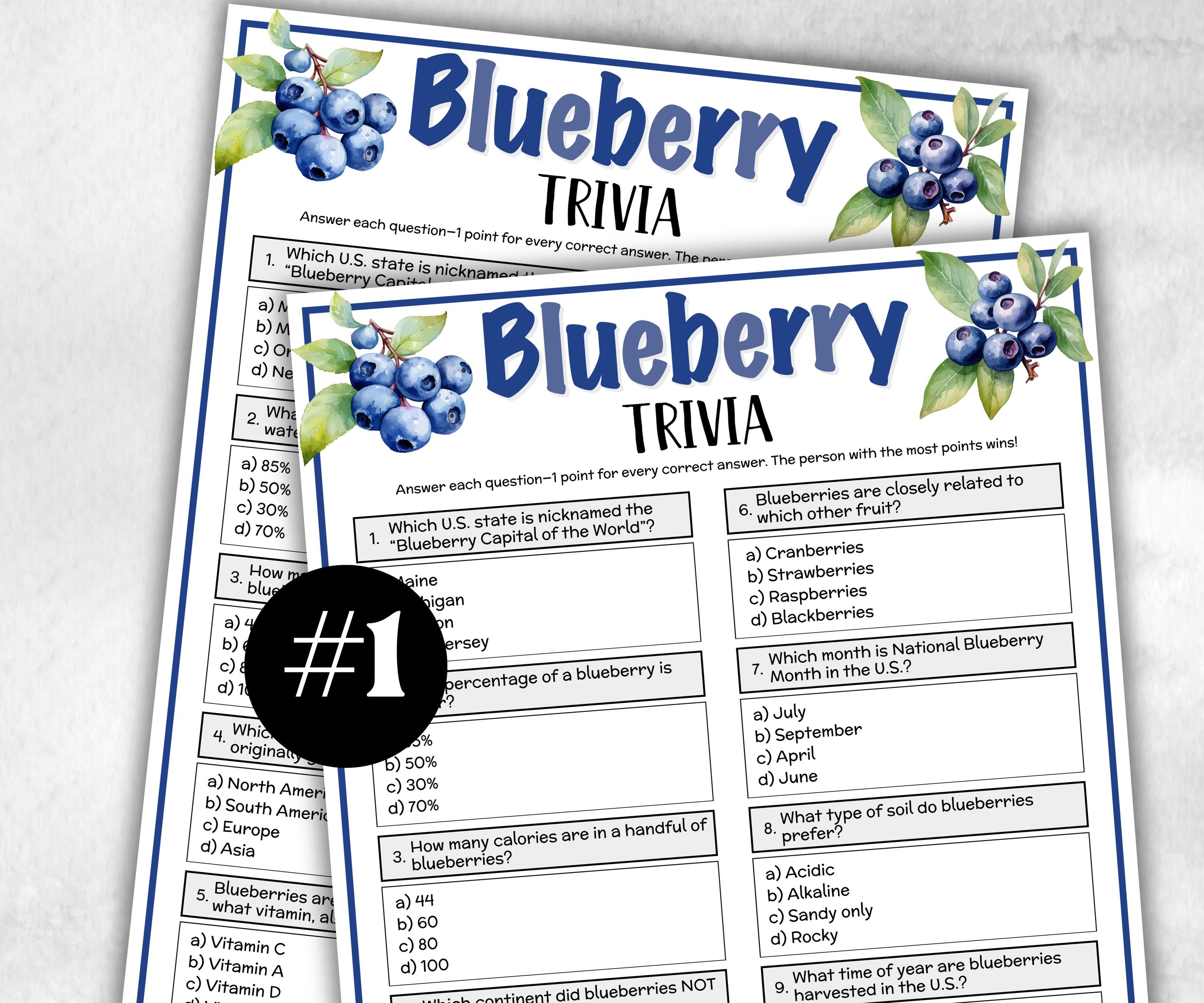 Blueberry Trivia, Winter Theme Birthday, Seniors Trivia Night, Sunday School, Women Ministry, xmas family reunion, fall autumn game, berries-Holidays -TheHustlingCatLady-Party Games