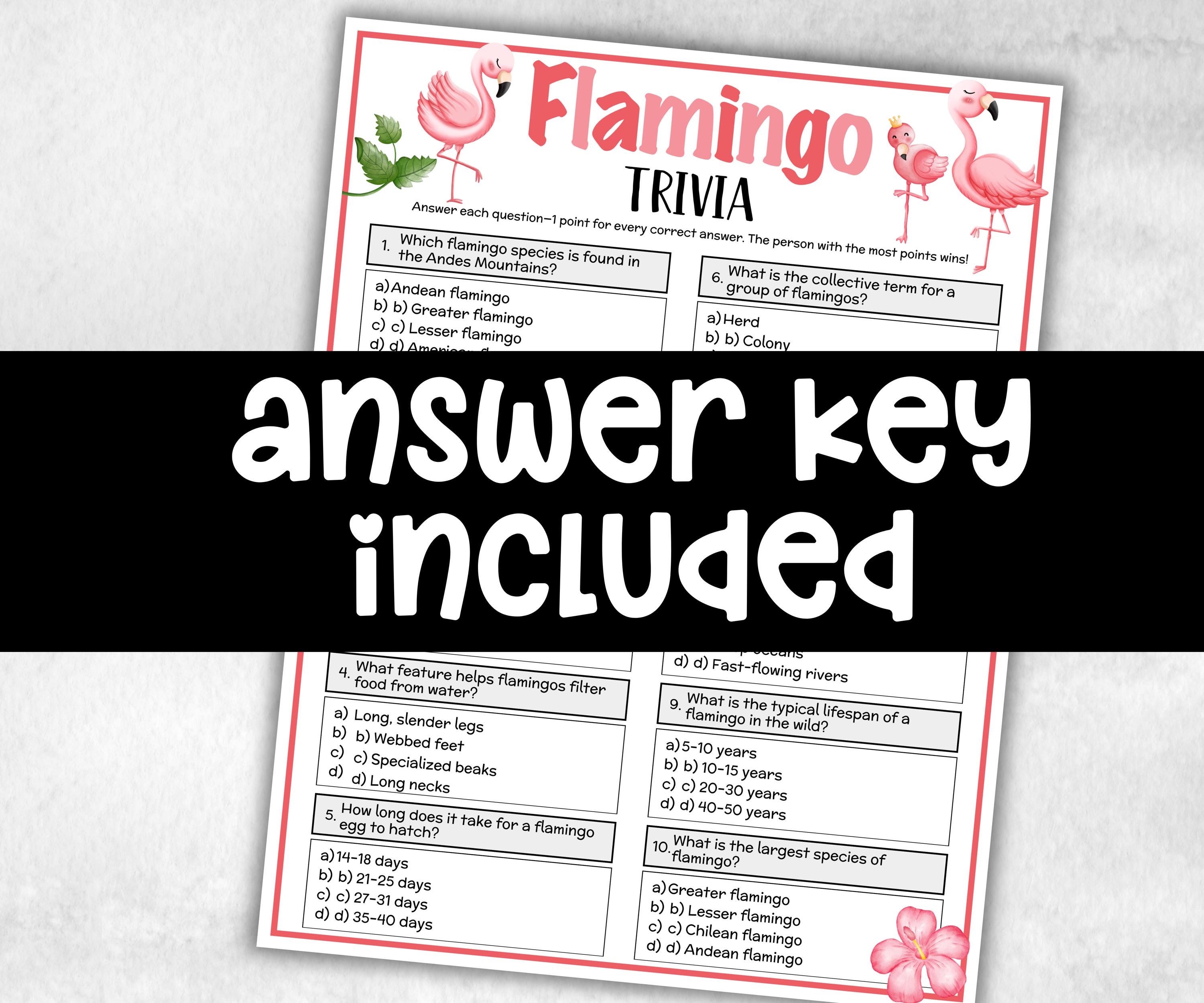 Flamingo Trivia, Pink Theme Birthday, Seniors Trivia Night, Sunday School, Pool Party, xmas family reunion, fall autumn game, Hawaii Church-Holidays -TheHustlingCatLady-Party Games