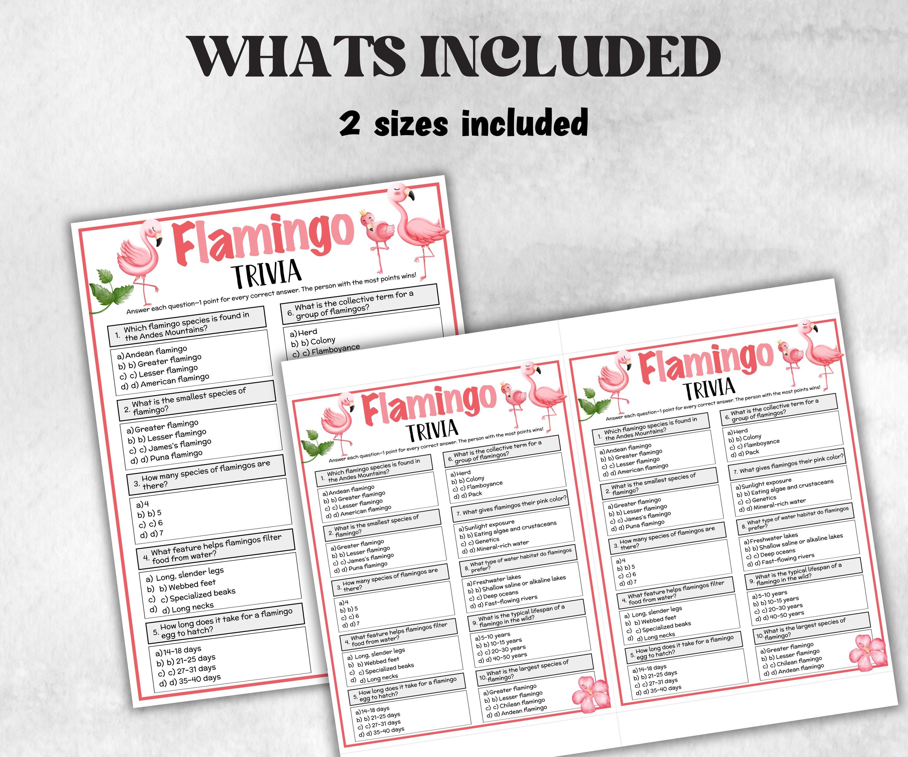 Flamingo Trivia, Pink Theme Birthday, Seniors Trivia Night, Sunday School, Pool Party, xmas family reunion, fall autumn game, Hawaii Church-Holidays -TheHustlingCatLady-Party Games
